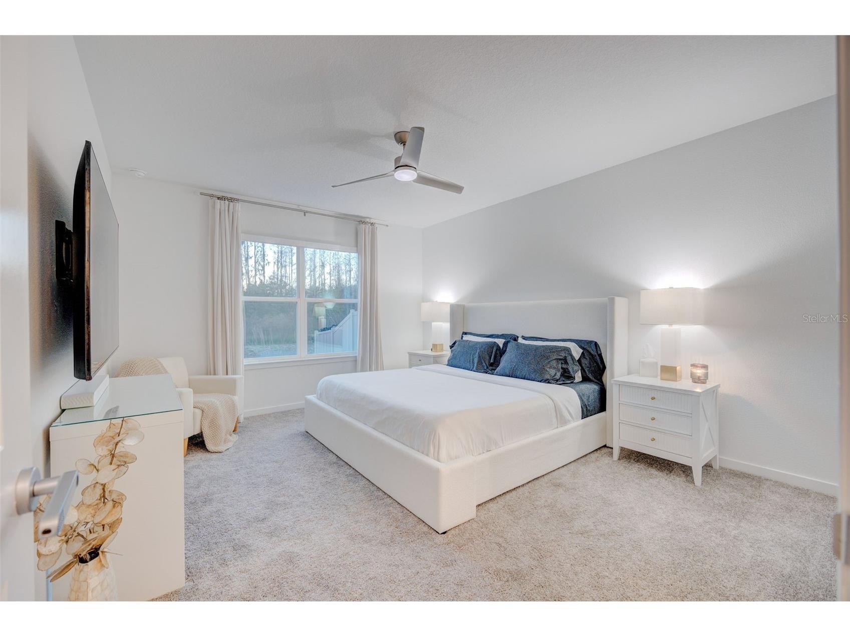 1095 Kistna Drive Zephyrhills FL 33540 TB8469345 image26