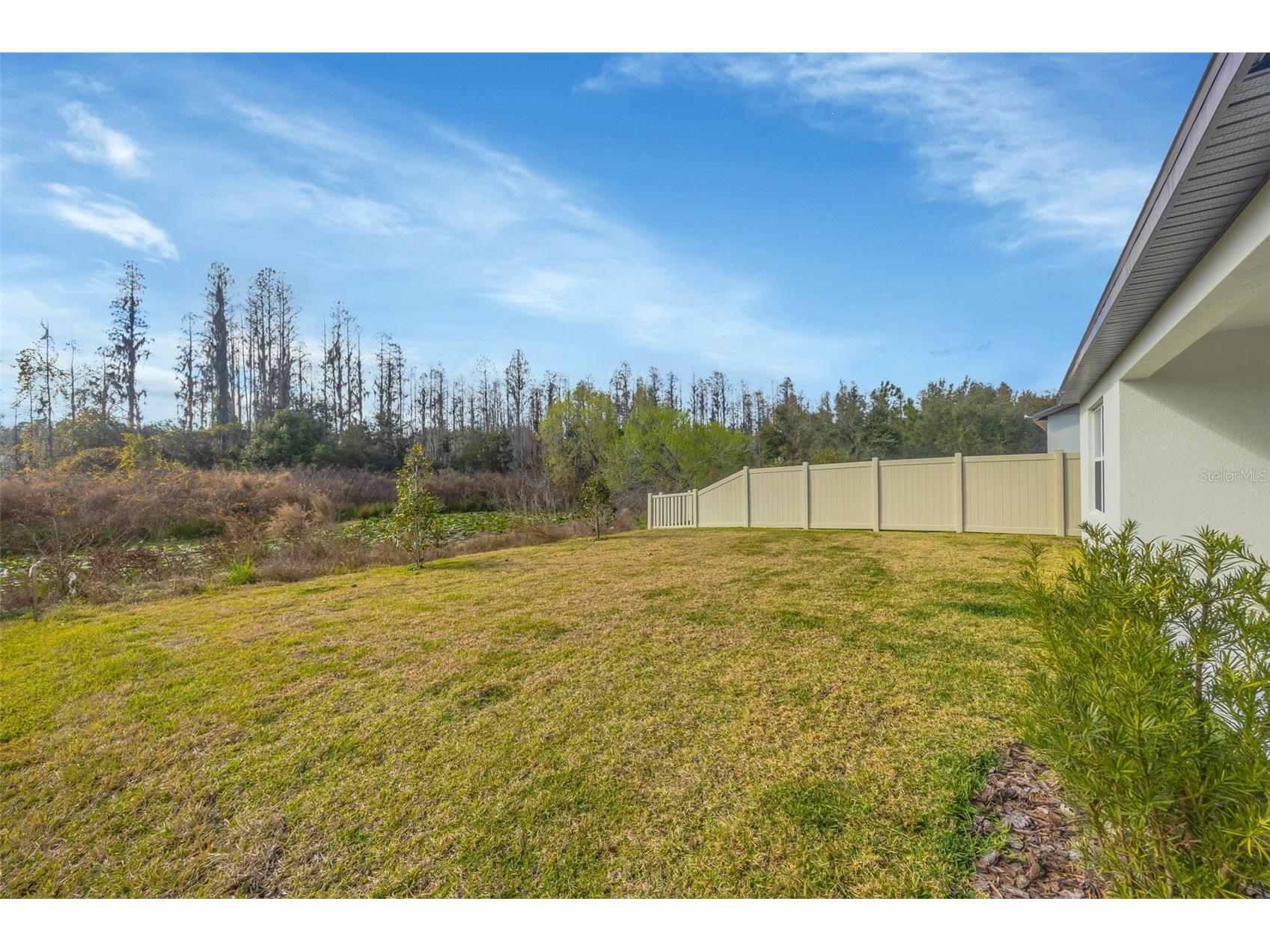 1095 Kistna Drive Zephyrhills FL 33540 TB8469345 image57