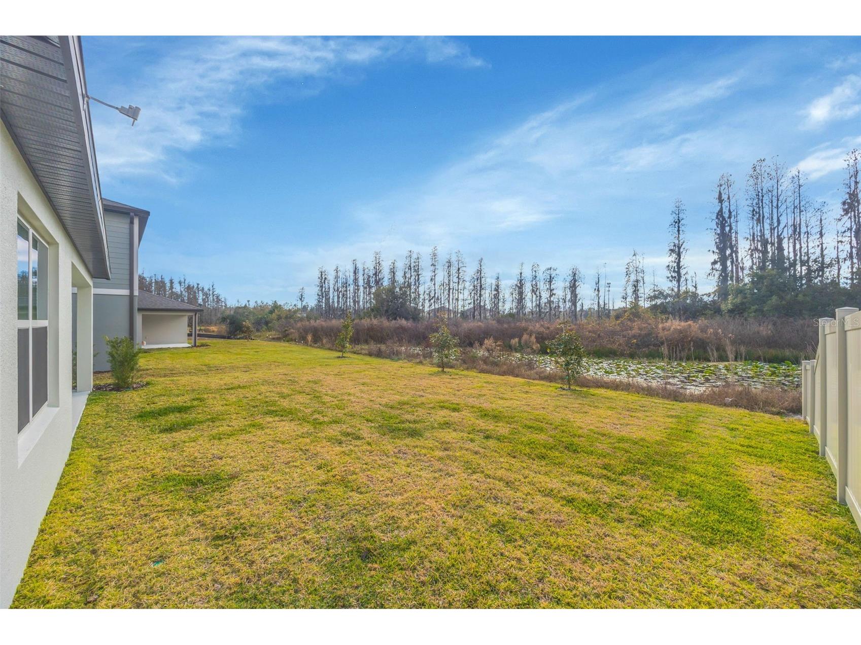 1095 Kistna Drive Zephyrhills FL 33540 TB8469345 image61