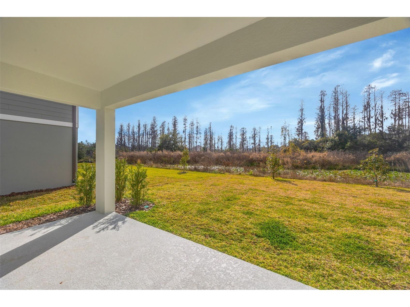 1095 Kistna Drive Zephyrhills FL 33540 TB8469345 image66