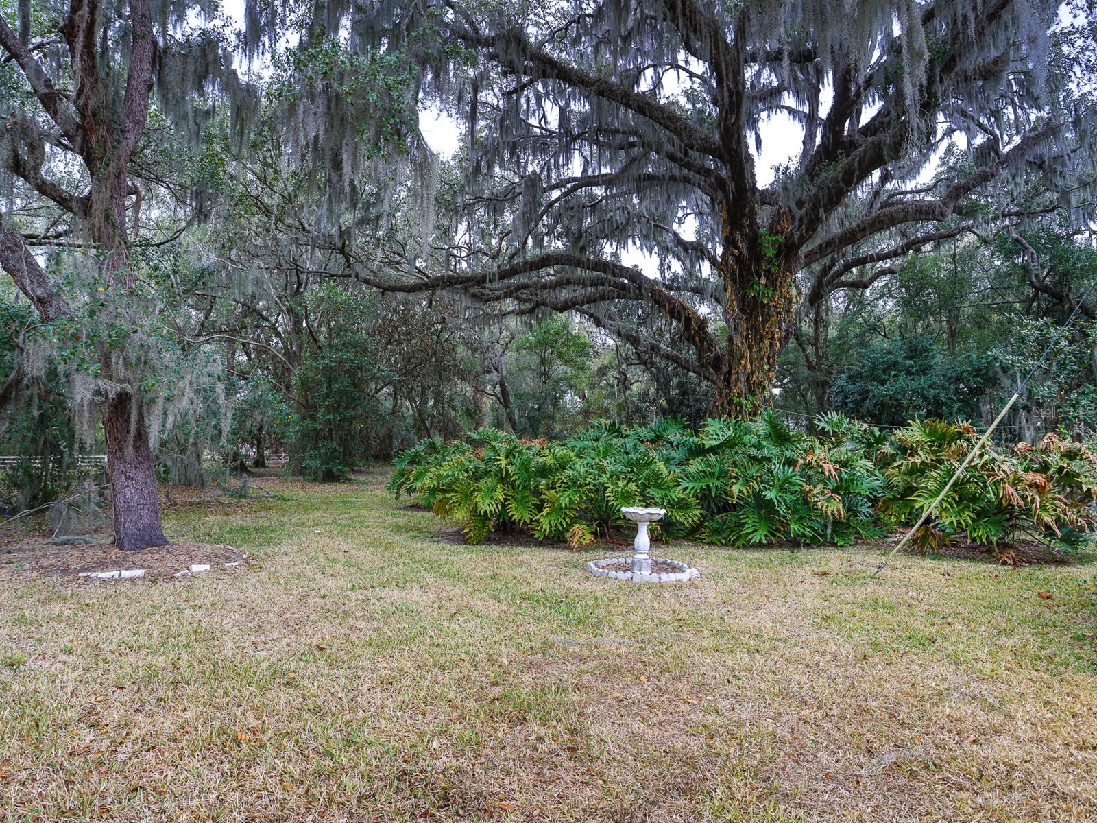 1095 S Broadway Avenue Bartow FL 33830 L4959534 image48