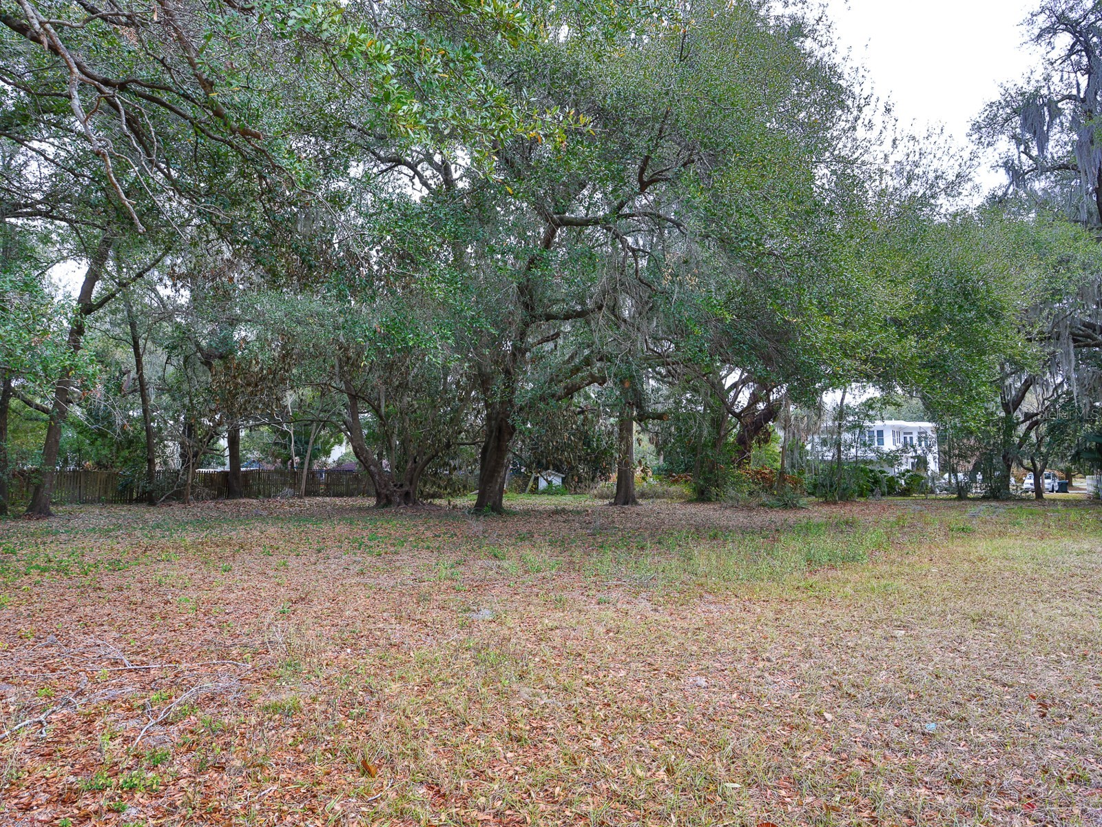 1095 S Broadway Avenue Bartow FL 33830 L4959534 image49
