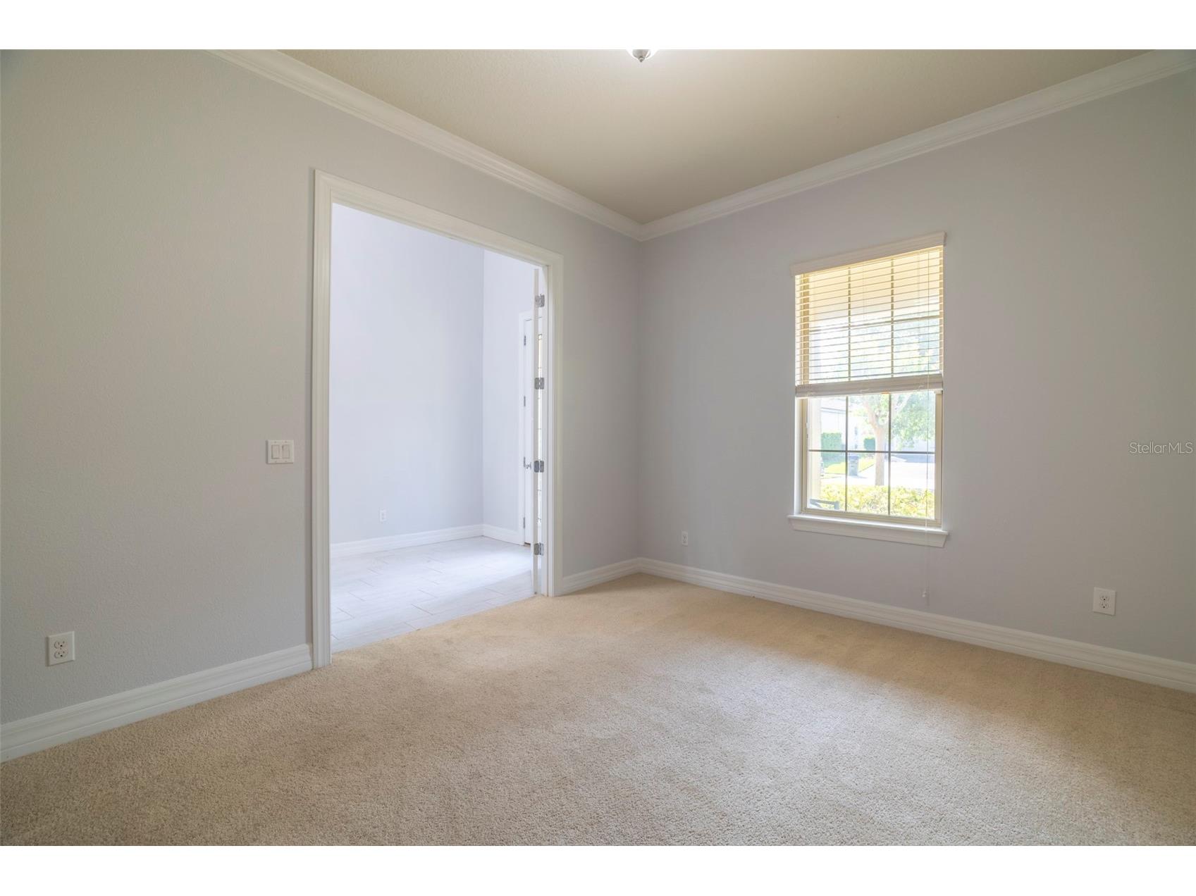 10950 Citron Oaks Drive Orlando FL 32836 O6395286 image15