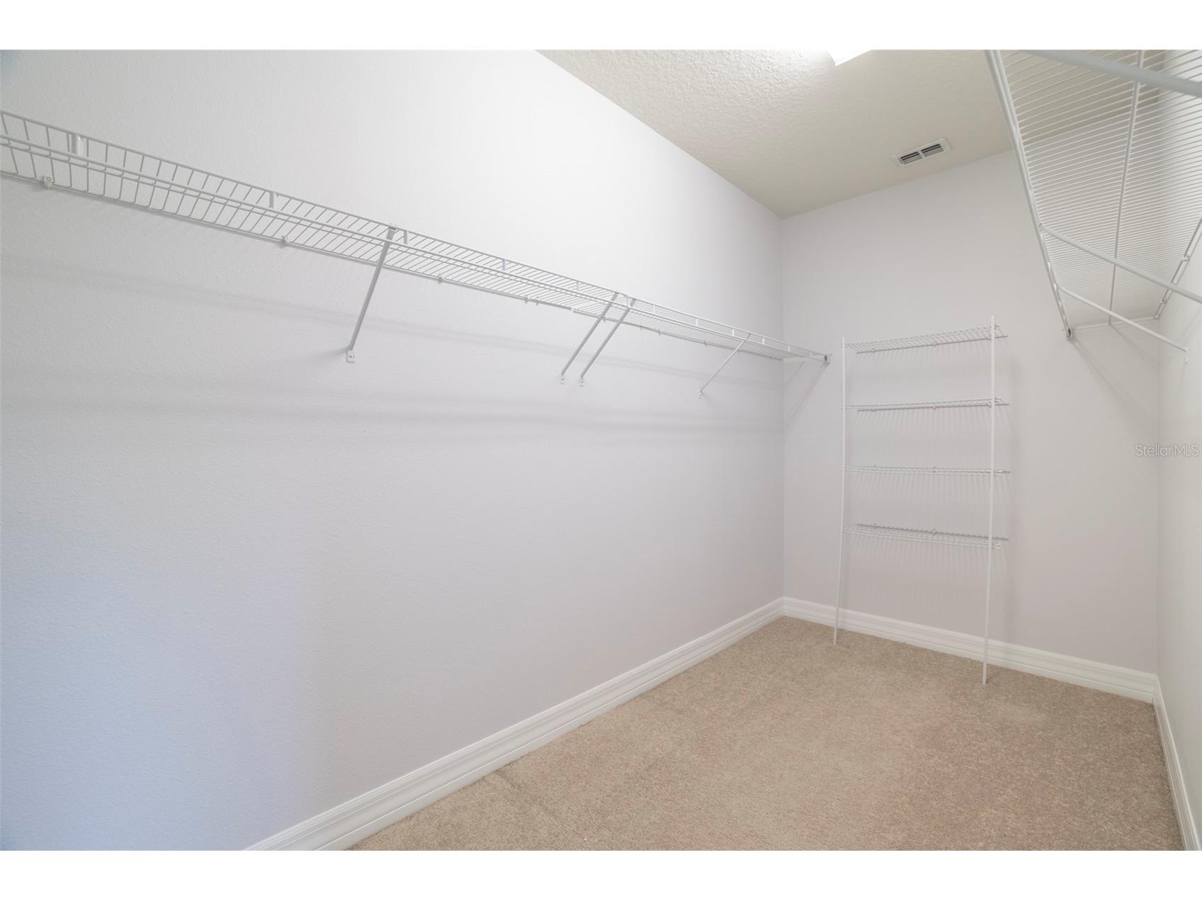 10950 Citron Oaks Drive Orlando FL 32836 O6395286 image28