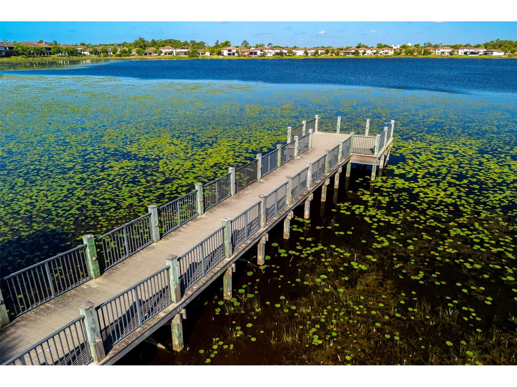 10950 Citron Oaks Drive Orlando FL 32836 O6395286 image44