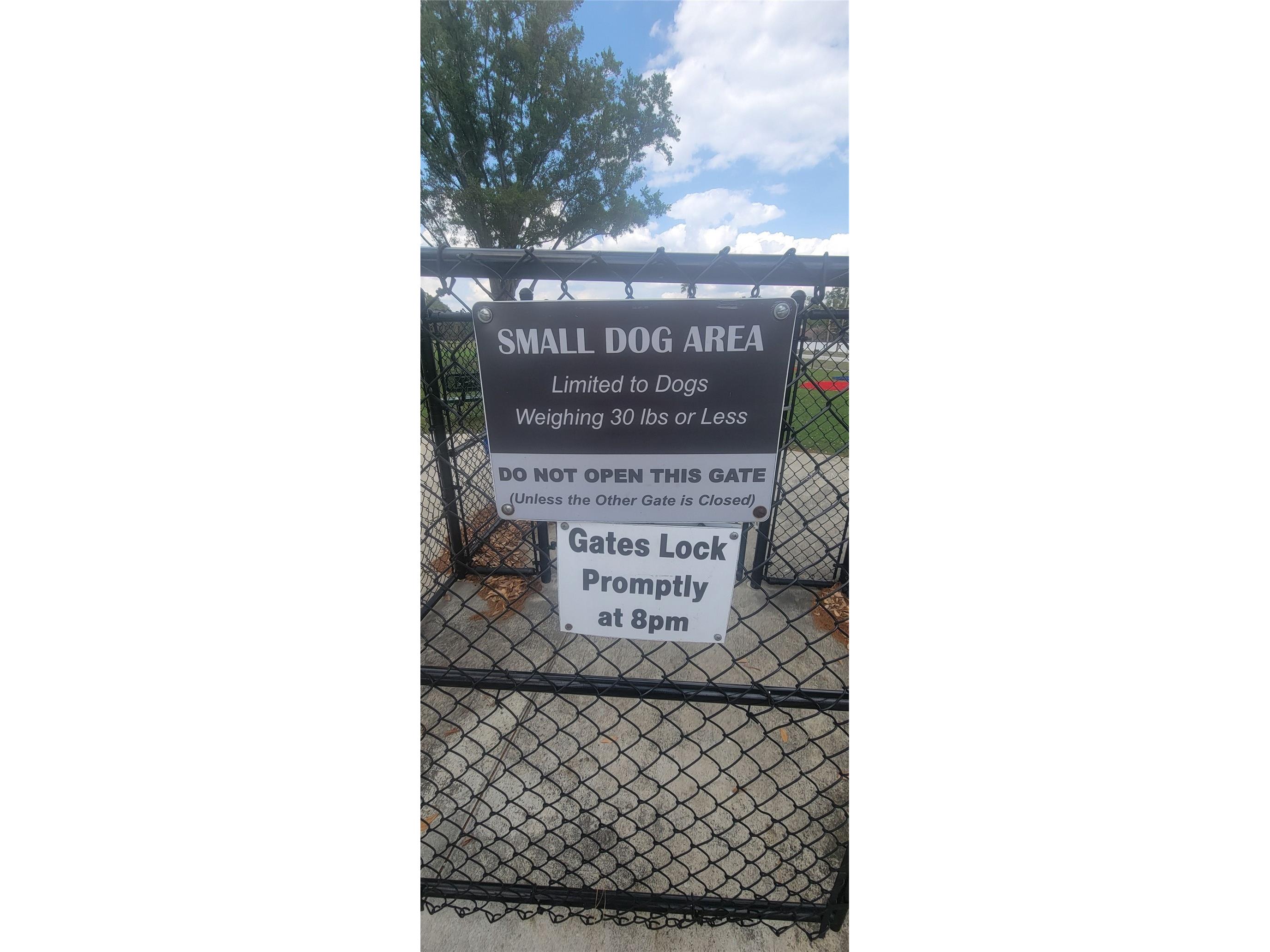 10951 Brickside Court Riverview FL 33579 TB8490688 image25