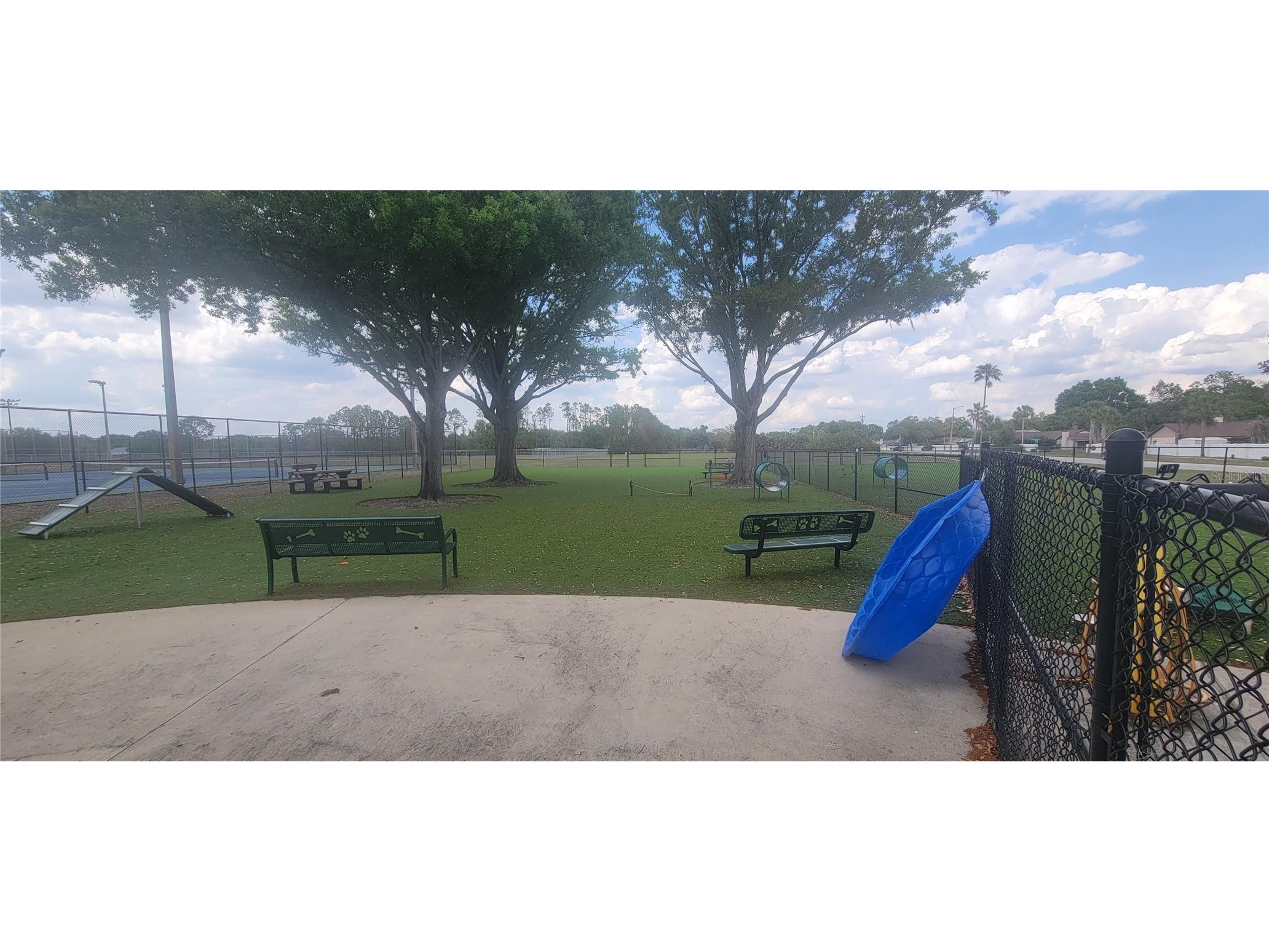 10951 Brickside Court Riverview FL 33579 TB8490688 image26