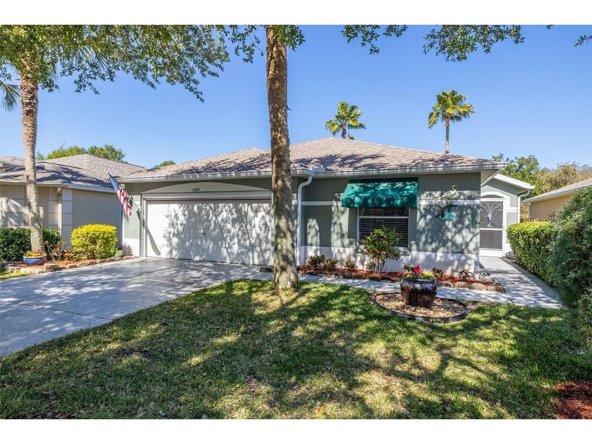 10951 Jenkins Ct San Antonio FL 33576 T3435572 image1