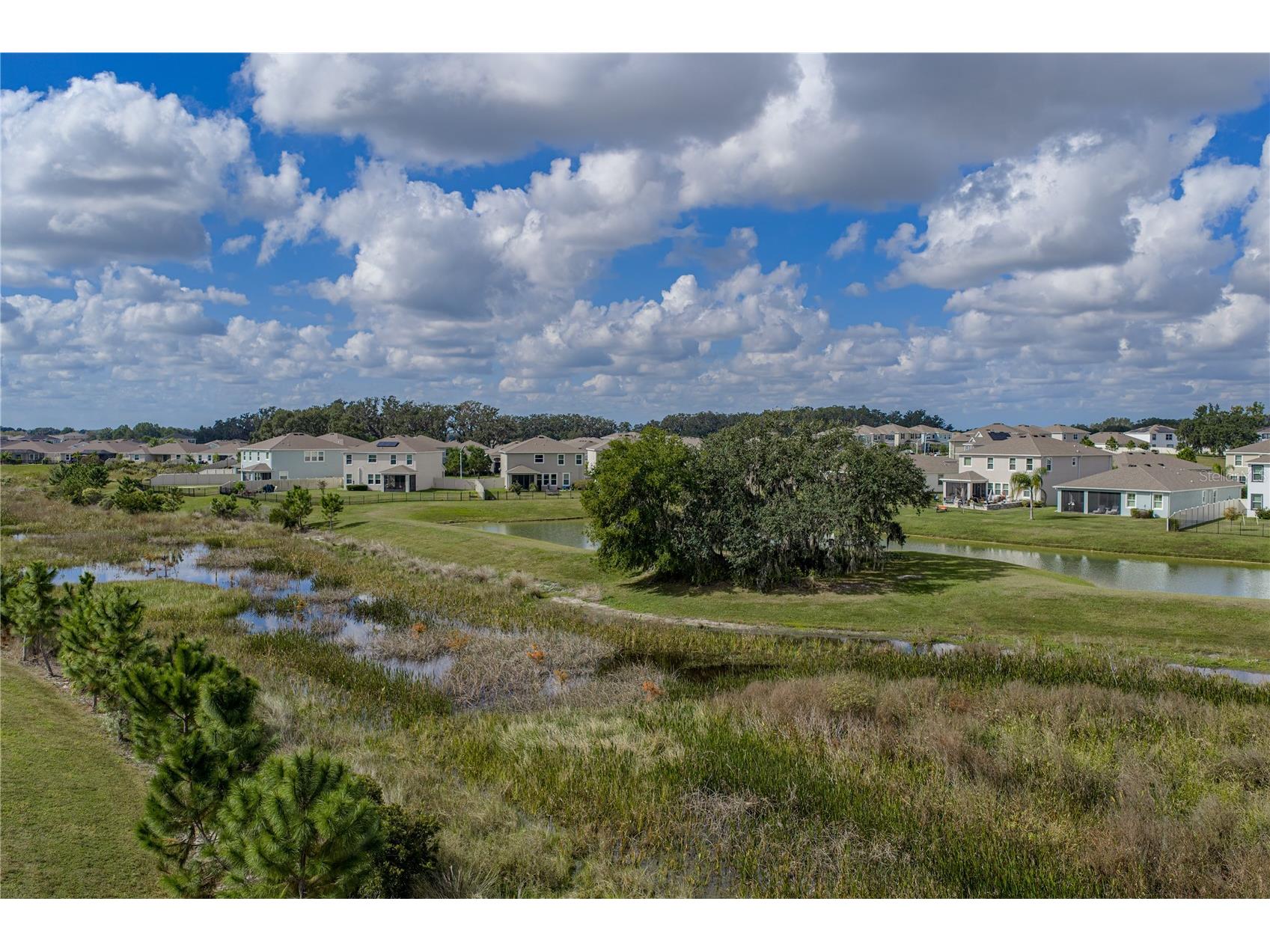10951 Penny Gale Loop San Antonio FL 33576 TB8446695 image53