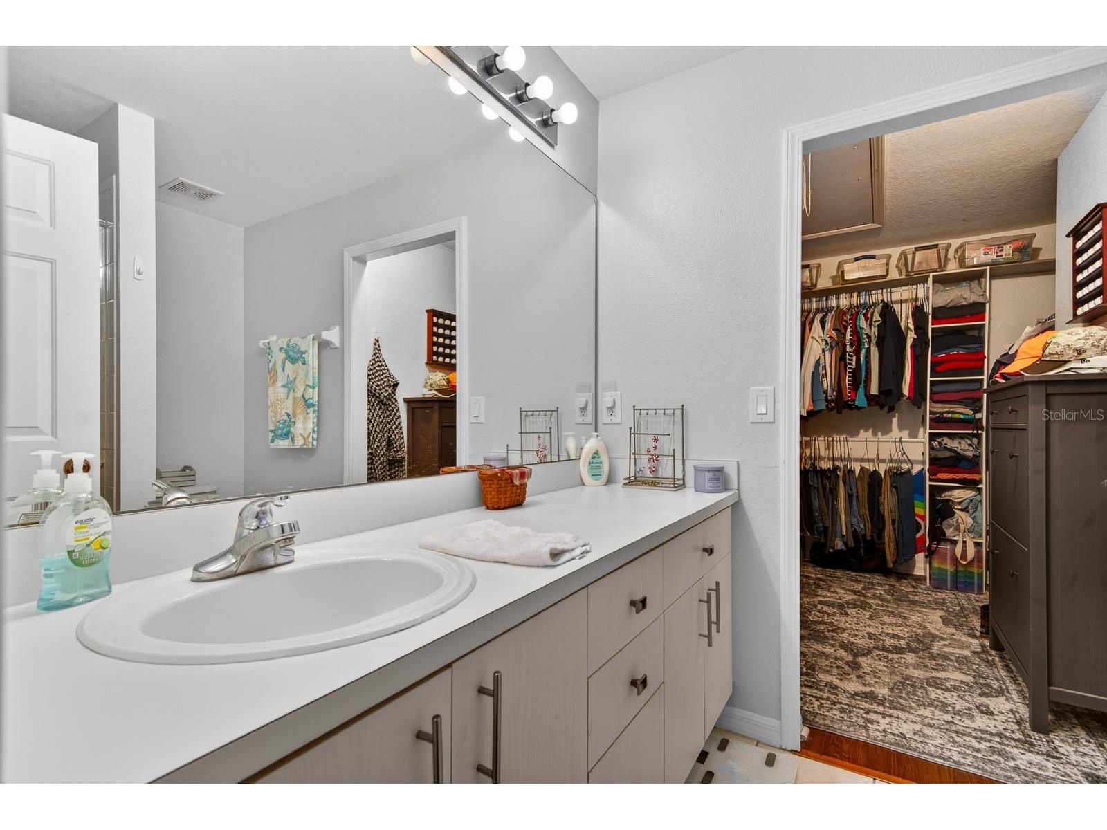 10951 Winter Crest Drive Riverview FL 33569 TB8505789 image19