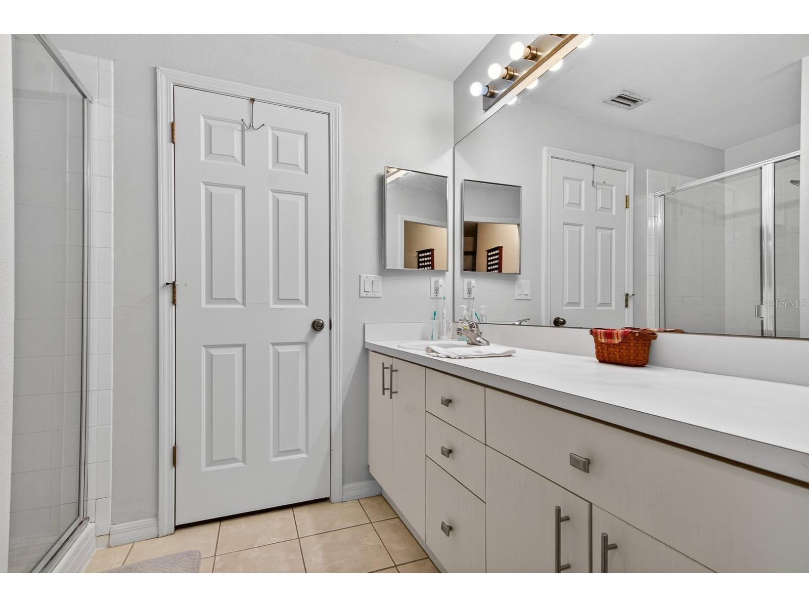 10951 Winter Crest Drive Riverview FL 33569 TB8505789 image20