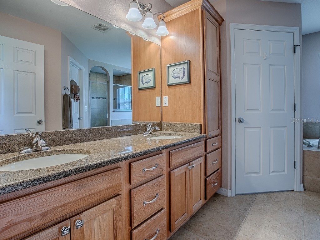 10952 SE 169th Place Summerfield FL 34491 G5099613 image27