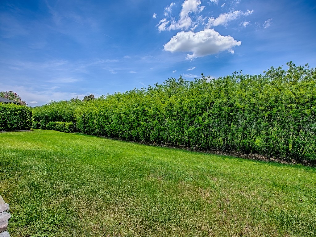 10952 SE 169th Place Summerfield FL 34491 G5099613 image42