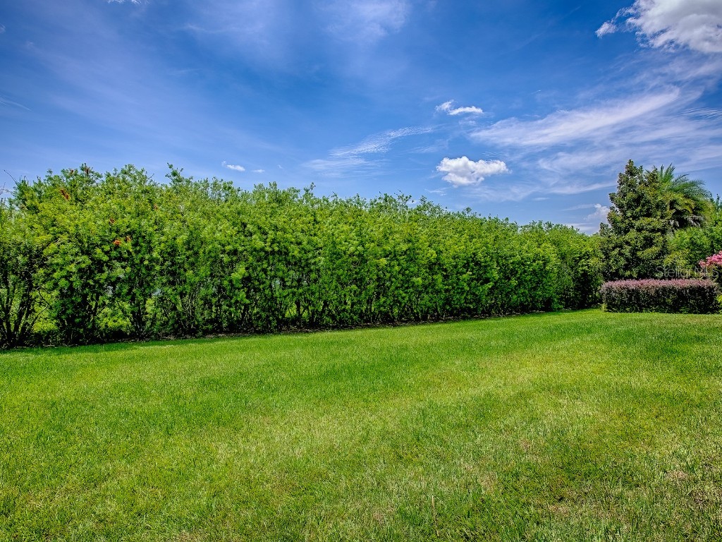 10952 SE 169th Place Summerfield FL 34491 G5099613 image47