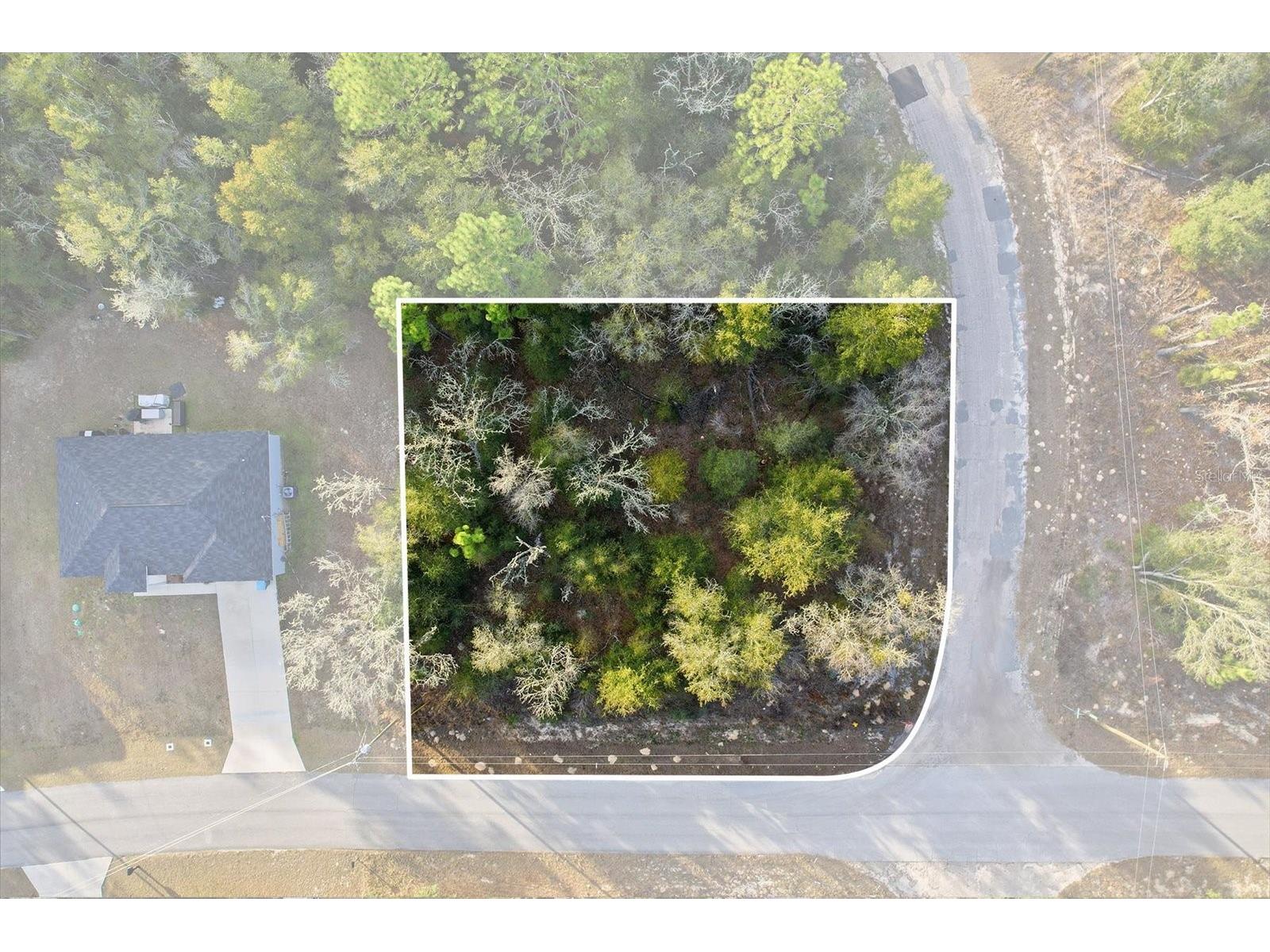 10953 N Ocean Drive Citrus Springs FL 34434 TB8468933 image1