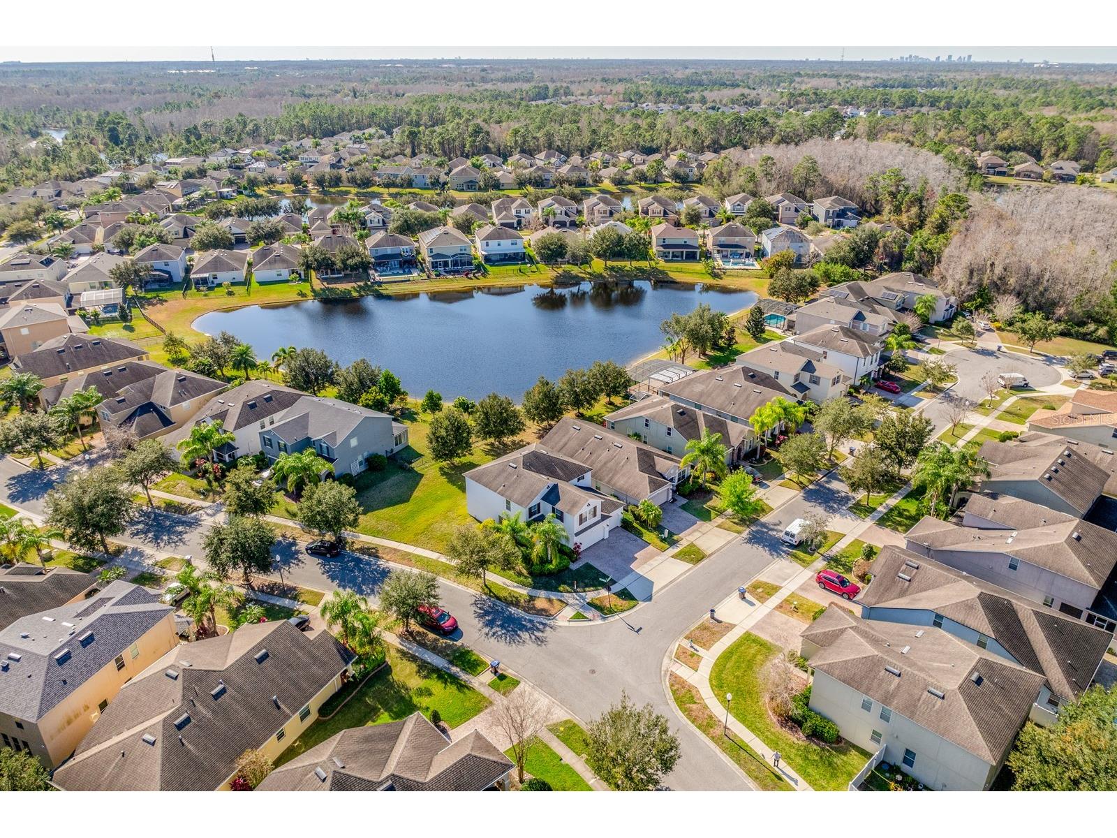 10954 High Bush Court Orlando FL 32825 O6376988 image34