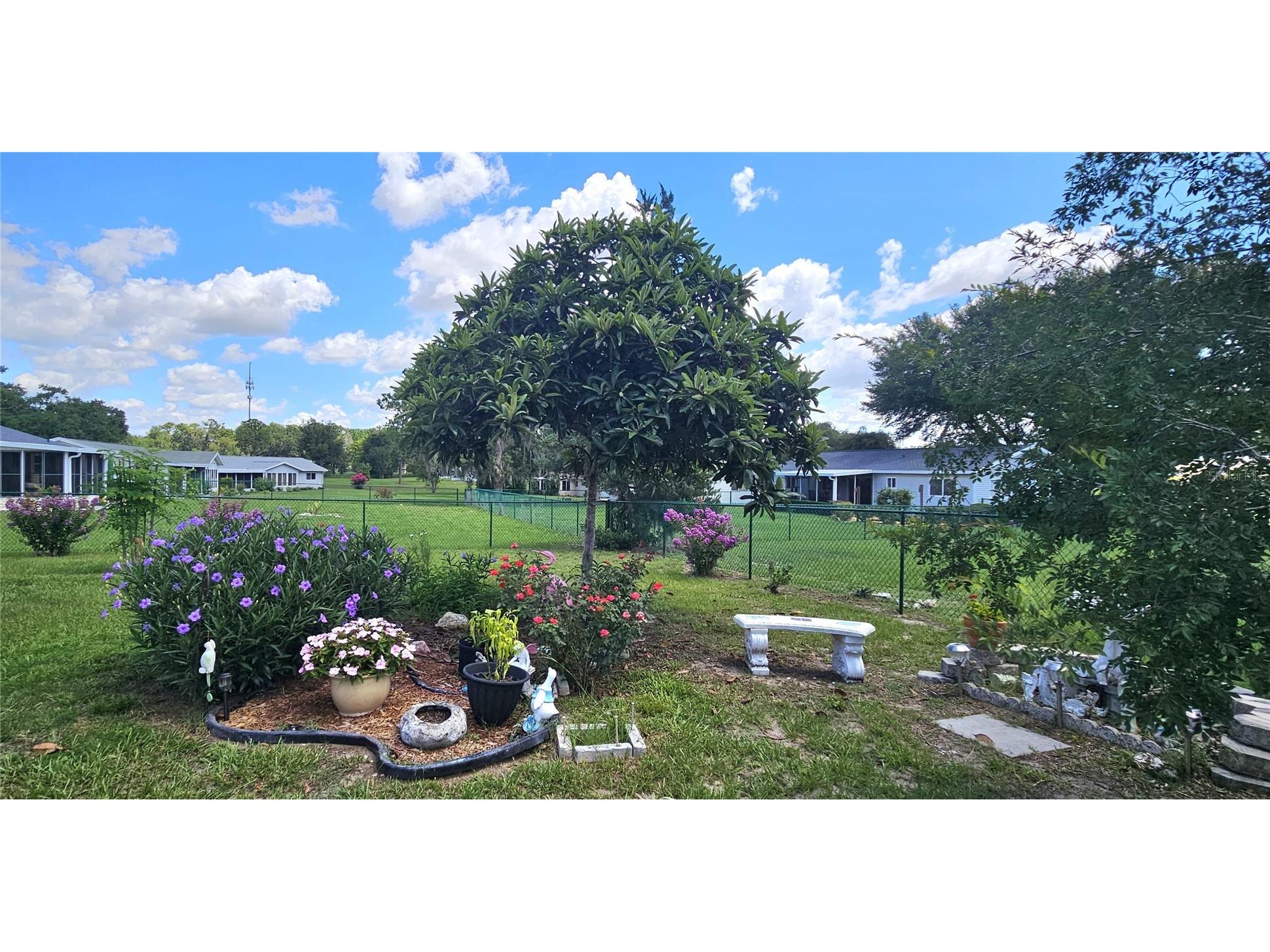 10957 SW 79th Terrace Ocala FL 34476 OM727225 image7