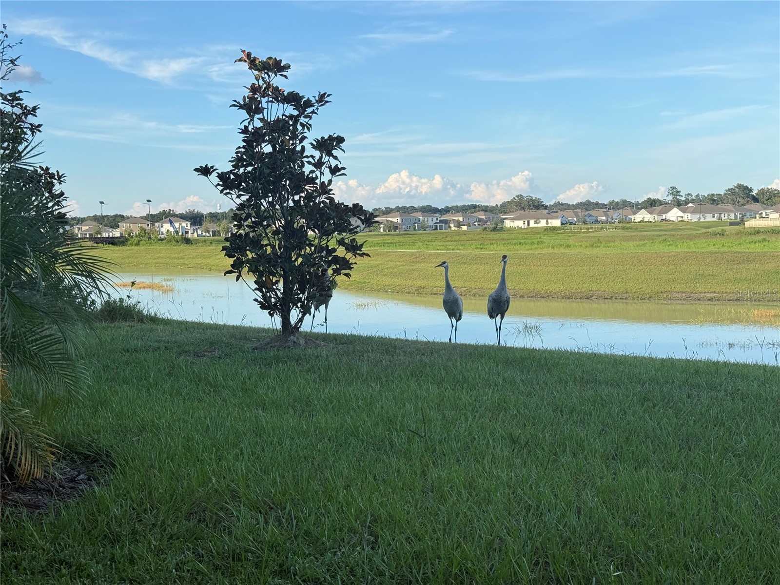 10958 Rustic Timber Loop San Antonio FL 33576 TB8473496 image42