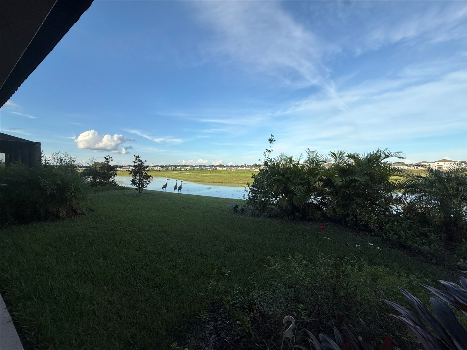 10958 Rustic Timber Loop San Antonio FL 33576 TB8473496 image43
