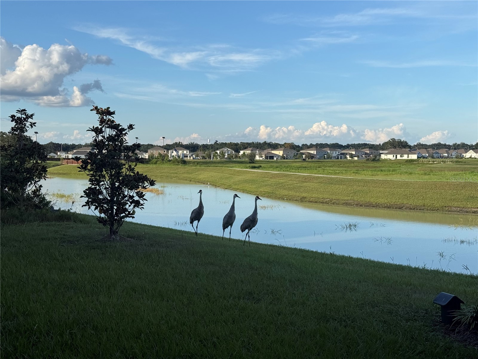 10958 Rustic Timber Loop San Antonio FL 33576 TB8473496 image45