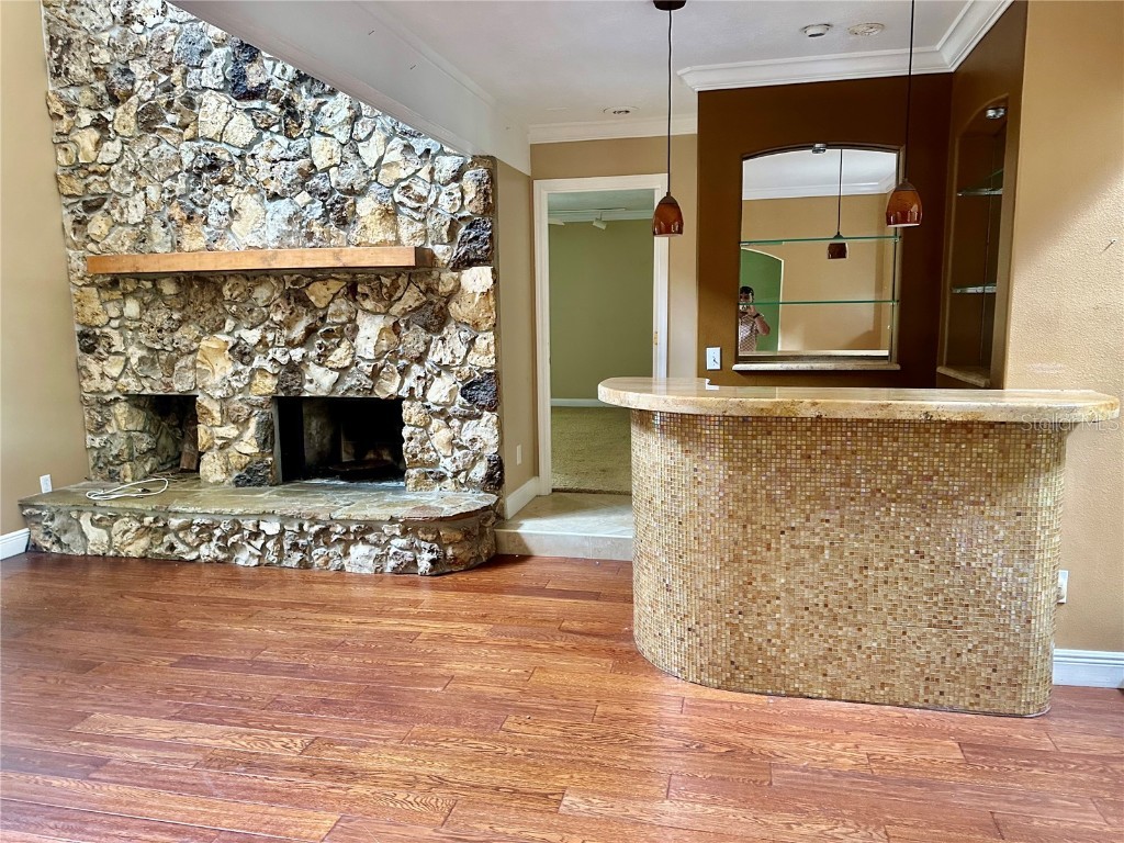 1096 Linkside Court Apopka FL 32712 G5098882 image18