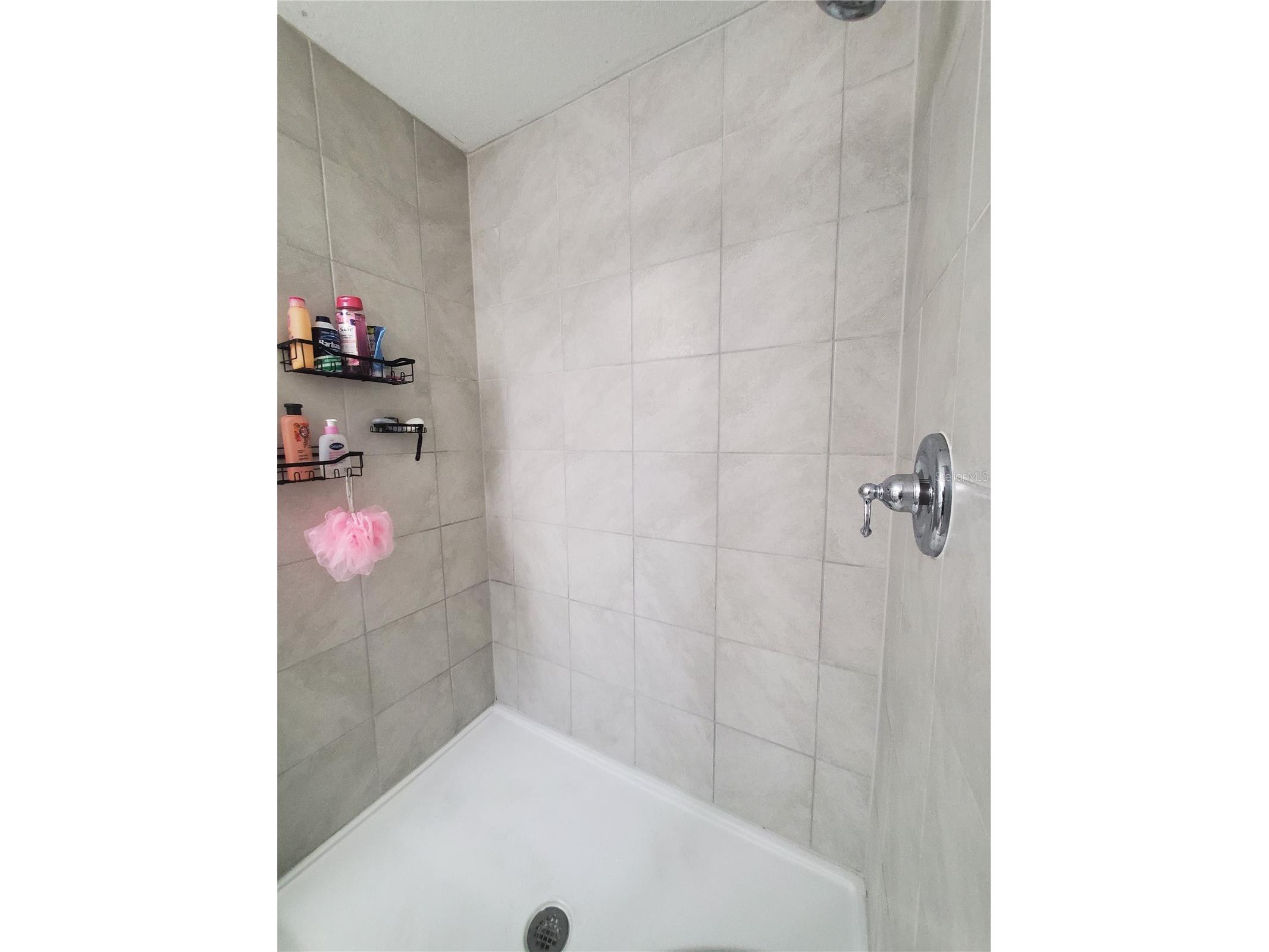 10960 Brightleaf Court Riverview FL 33569 C7526856 image12