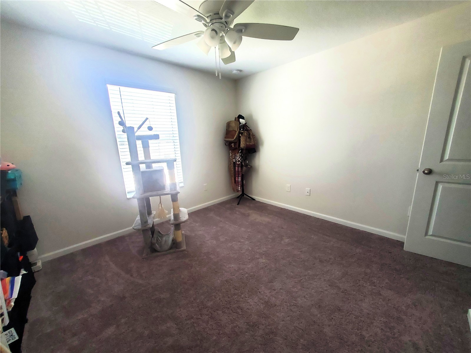 10960 Brightleaf Court Riverview FL 33569 C7526856 image32