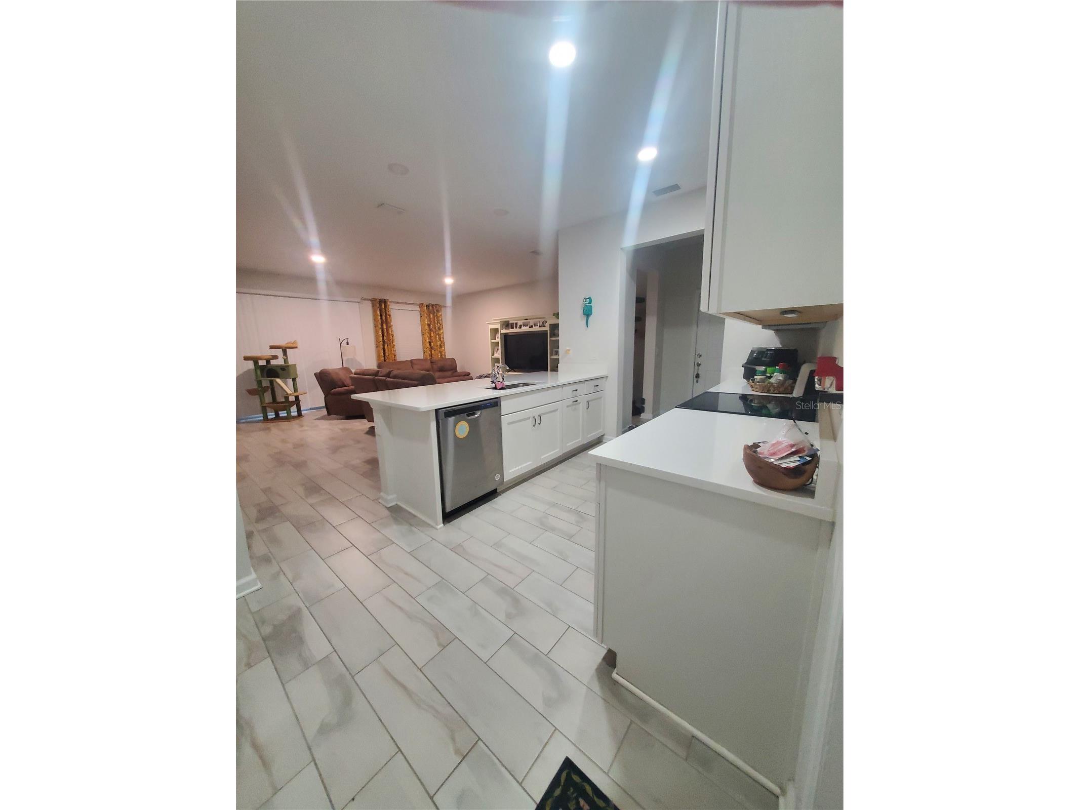 10960 Brightleaf Court Riverview FL 33569 C7526856 image5