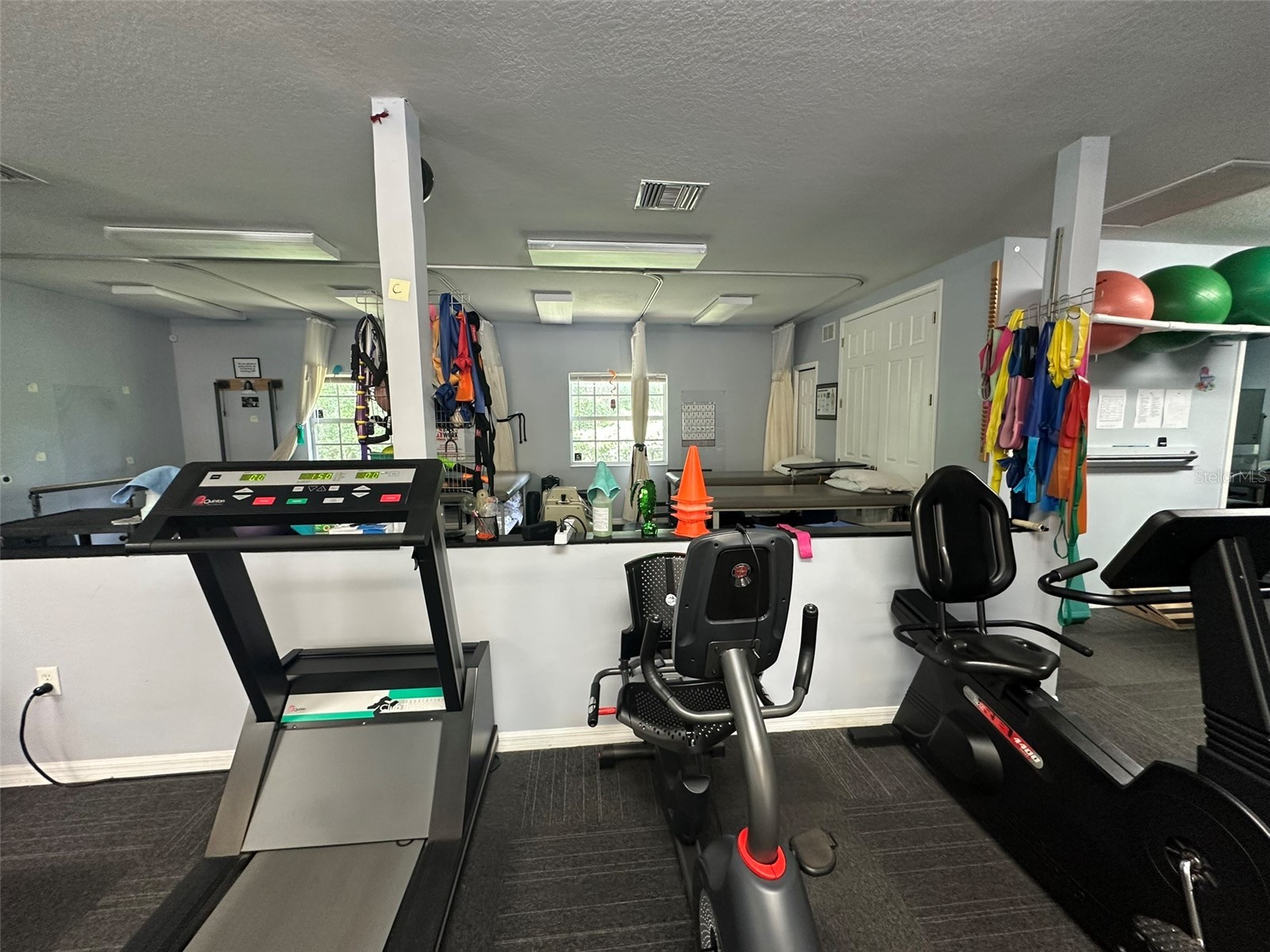 10960 Sheldon Road Tampa FL 33626 TB8465661 image12