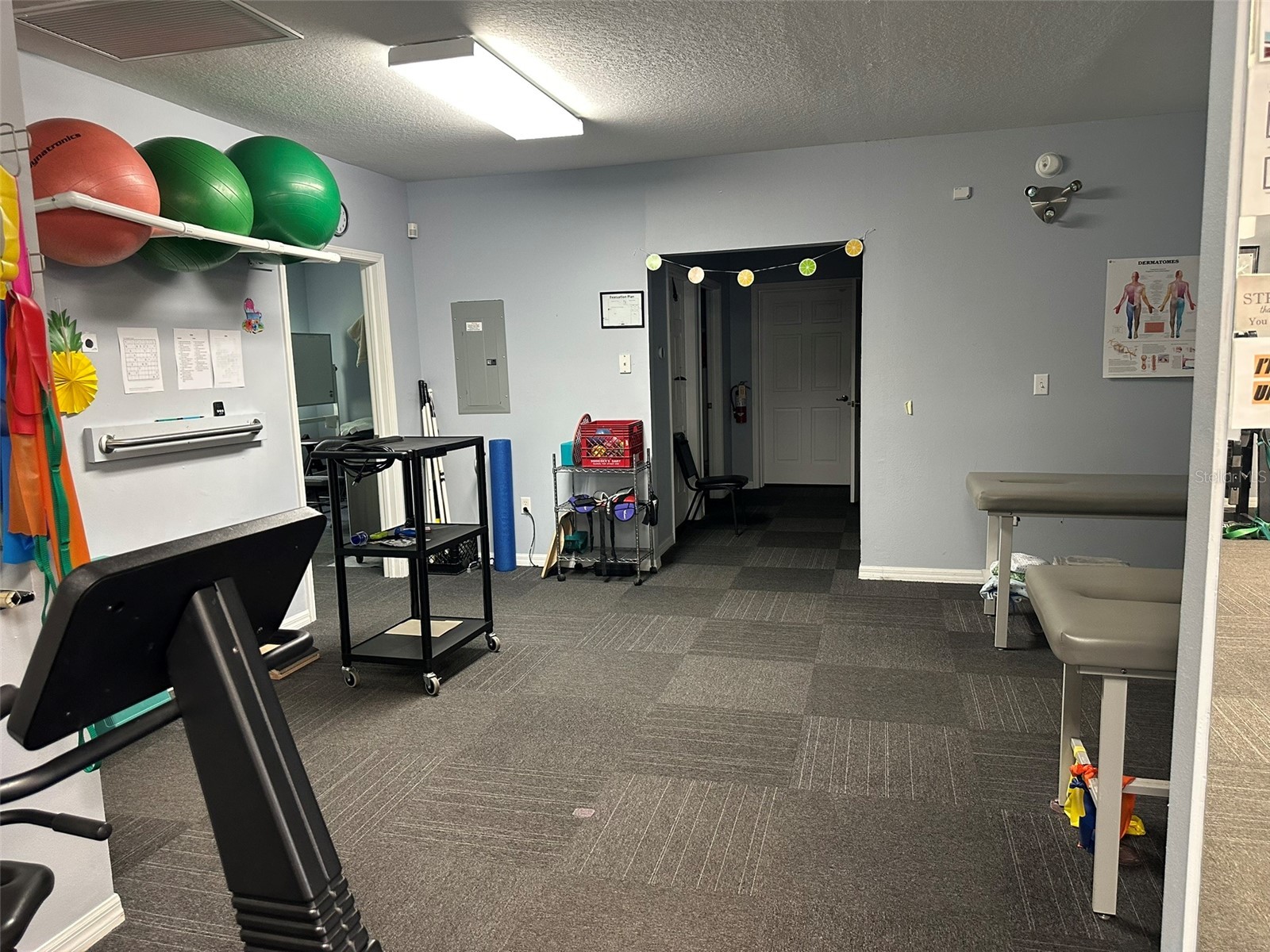 10960 Sheldon Road Tampa FL 33626 TB8465661 image9