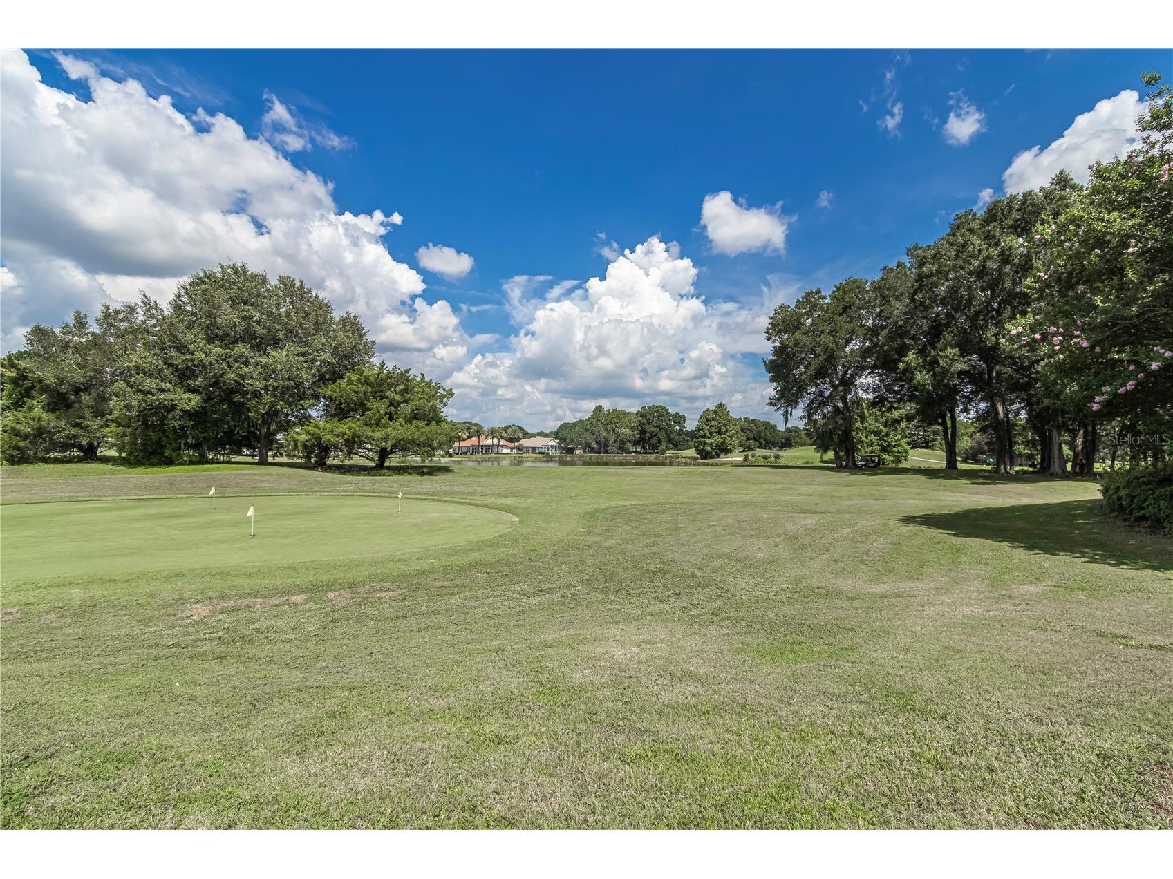 10962 SW 69th Circle Ocala FL 34476 OM713040 image53