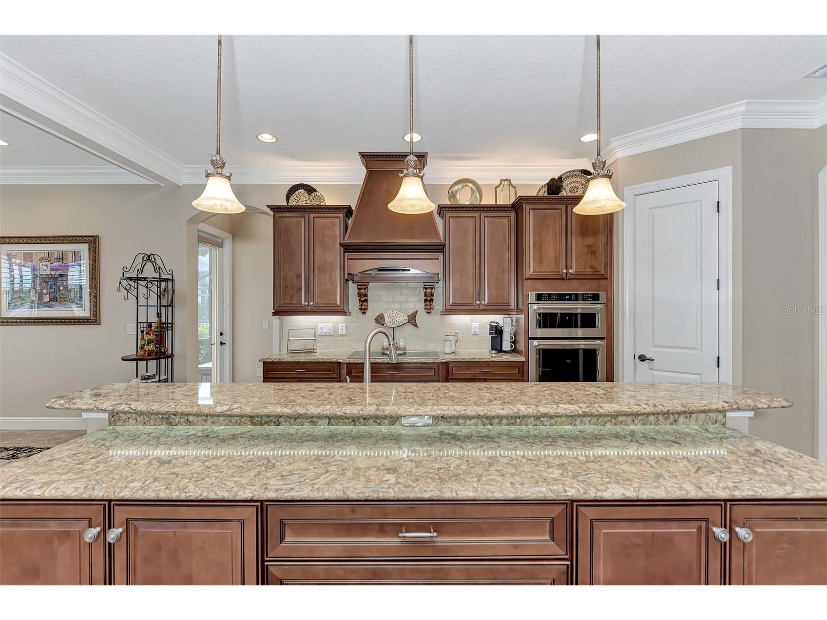 10965 Bullrush Drive Venice FL 34293 D6146966 image21