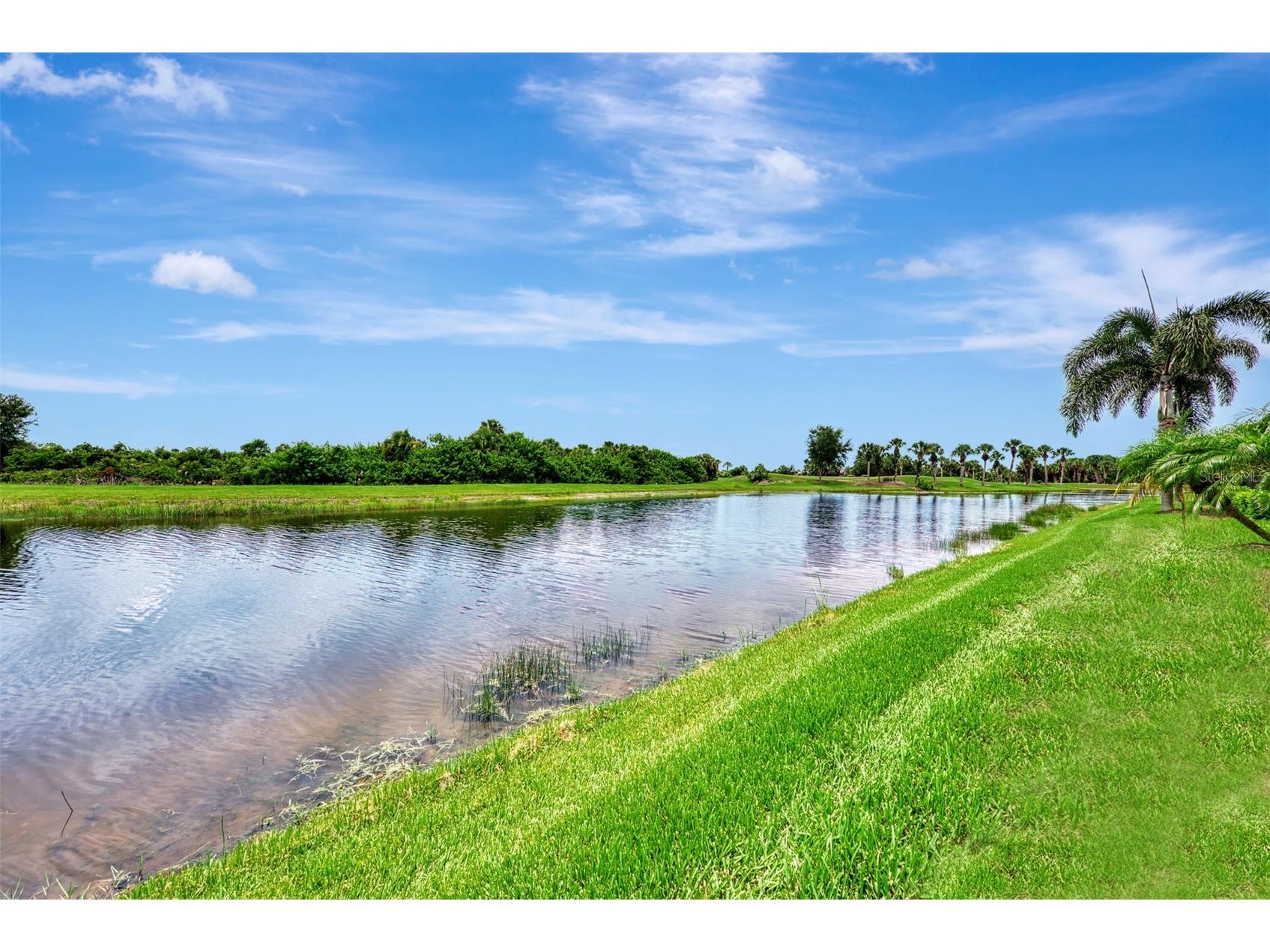 10965 Bullrush Drive Venice FL 34293 D6146966 image49