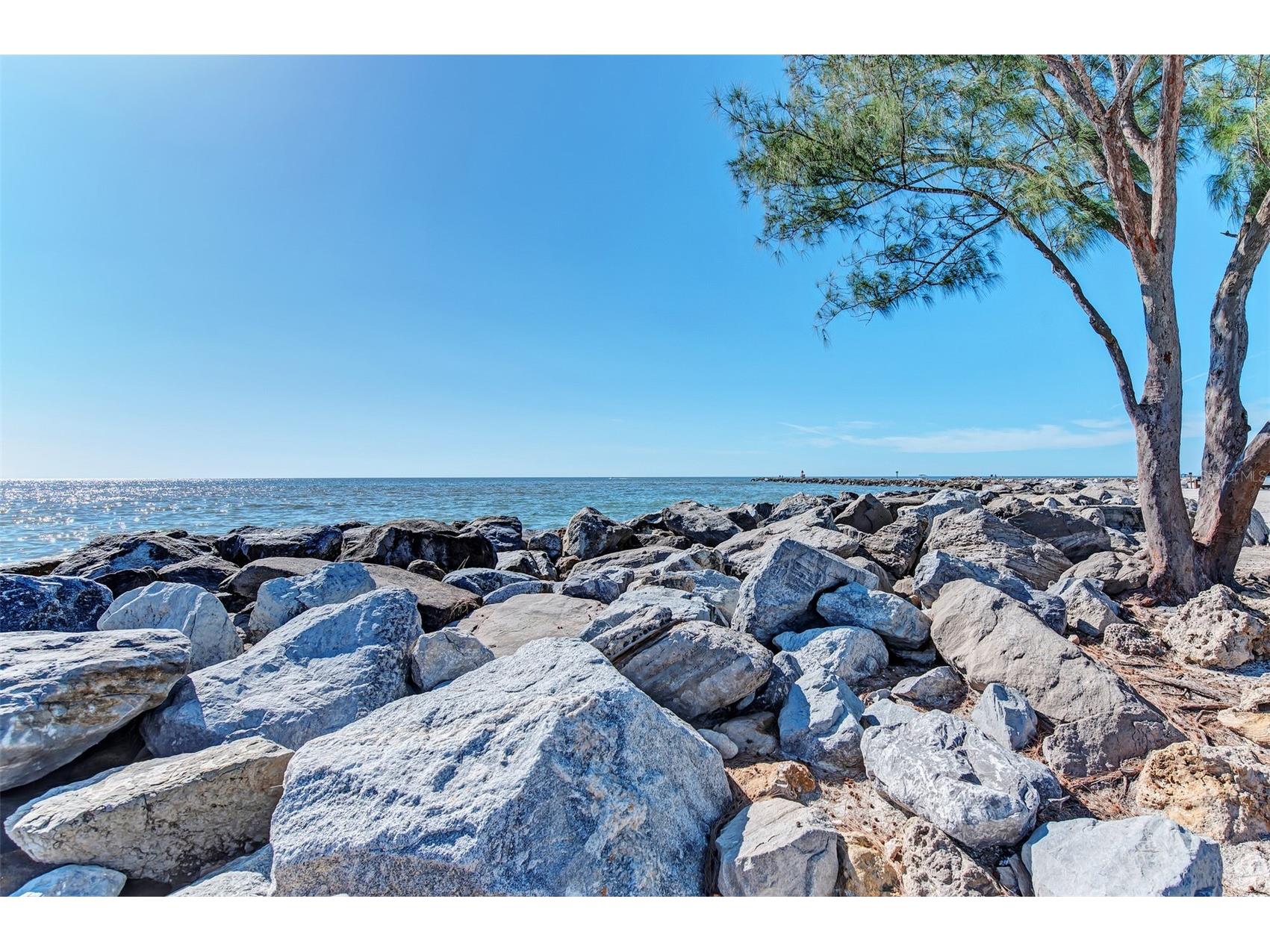10965 Bullrush Drive Venice FL 34293 D6146966 image75