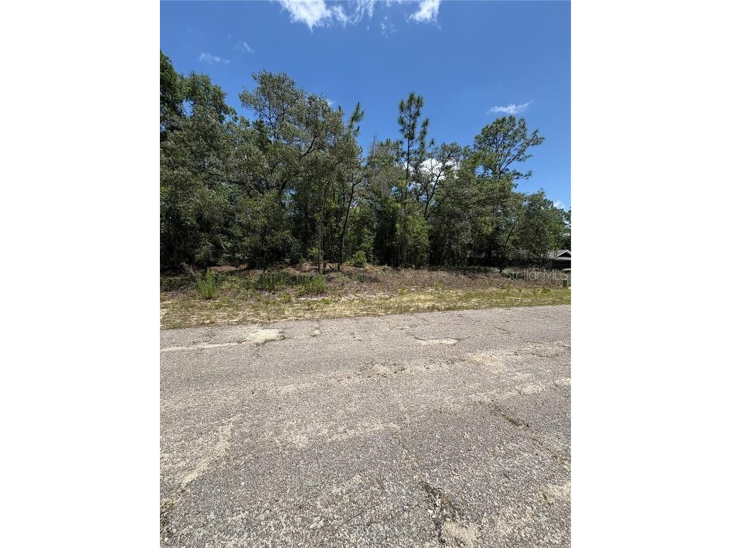 10965 N Mataro Avenue Citrus Springs FL 34434 G5097790 image3