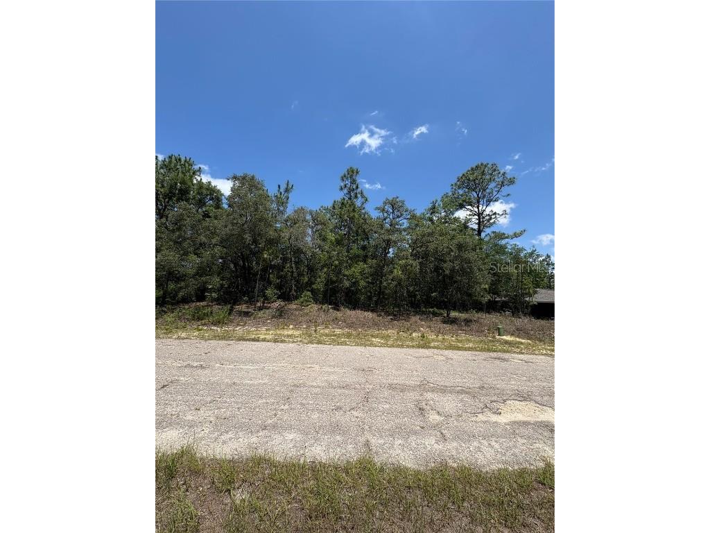 10965 N Mataro Avenue Citrus Springs FL 34434 G5097790 image4