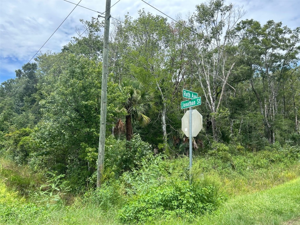 10965 Ruth Avenue Hastings FL 32145 FC302921 image1