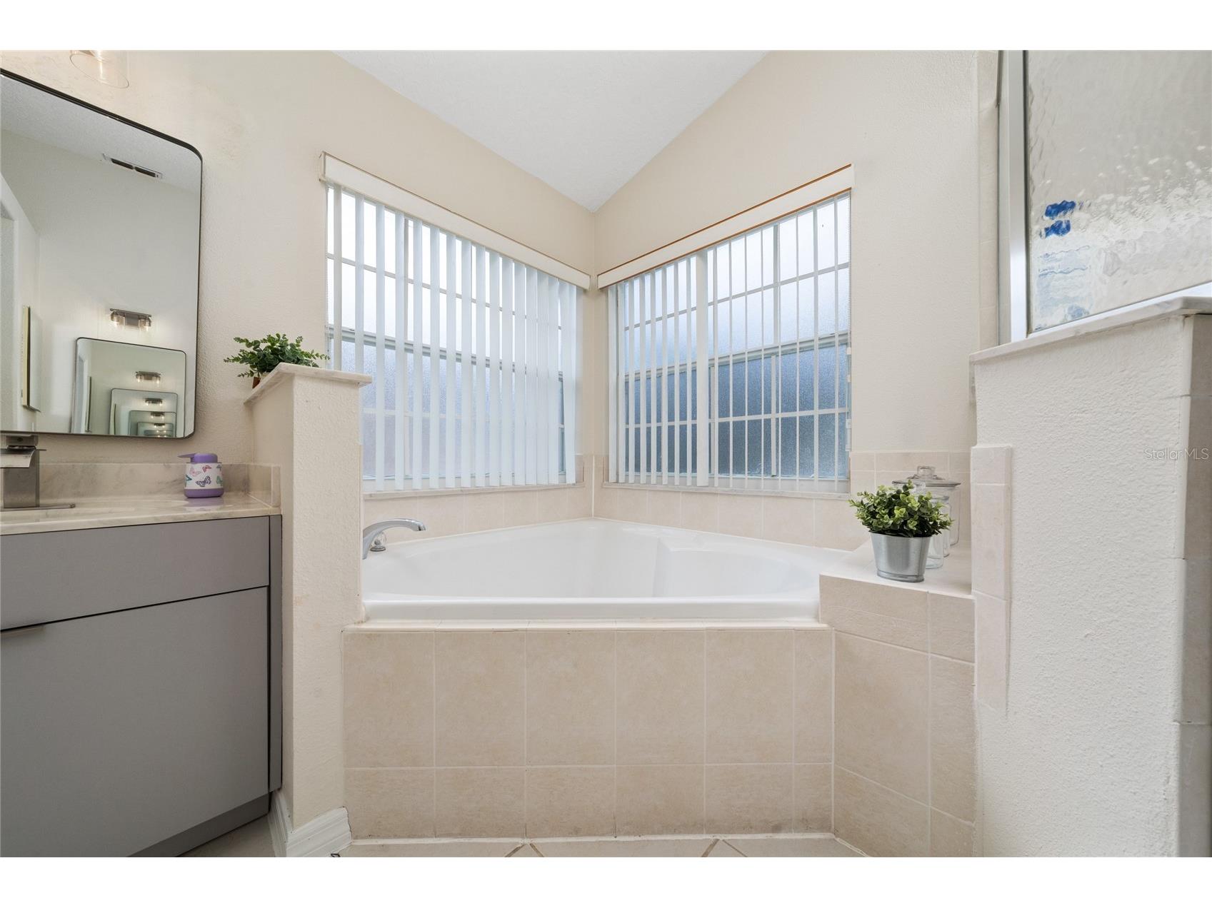 10966 Eliotti Street Orlando FL 32832 O6414538 image38