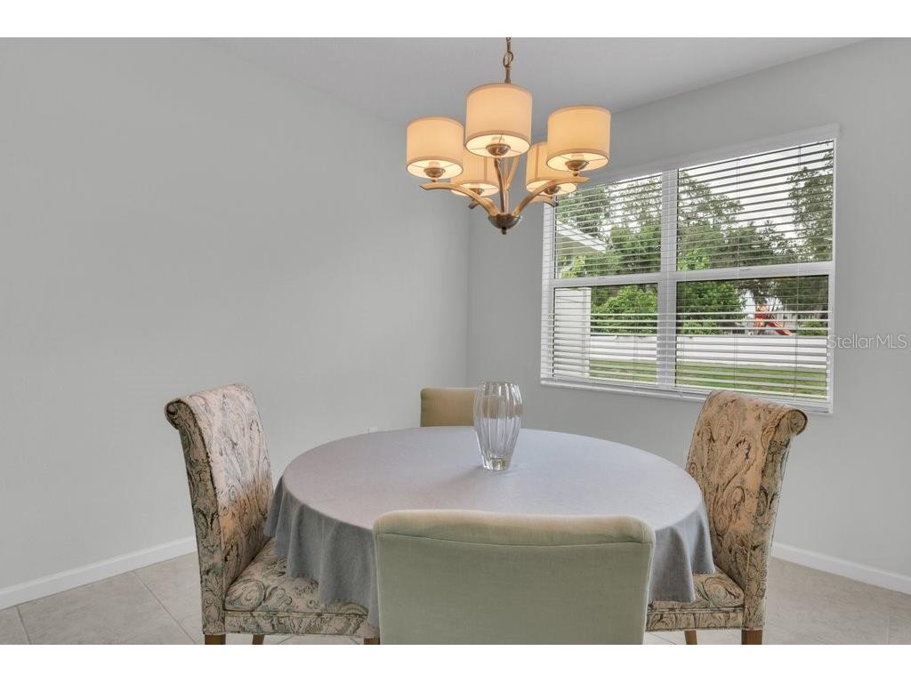 10967 Quickwater Court Riverview FL 33569 TB8515694 image11