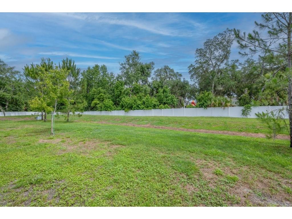 10967 Quickwater Court Riverview FL 33569 TB8515694 image27