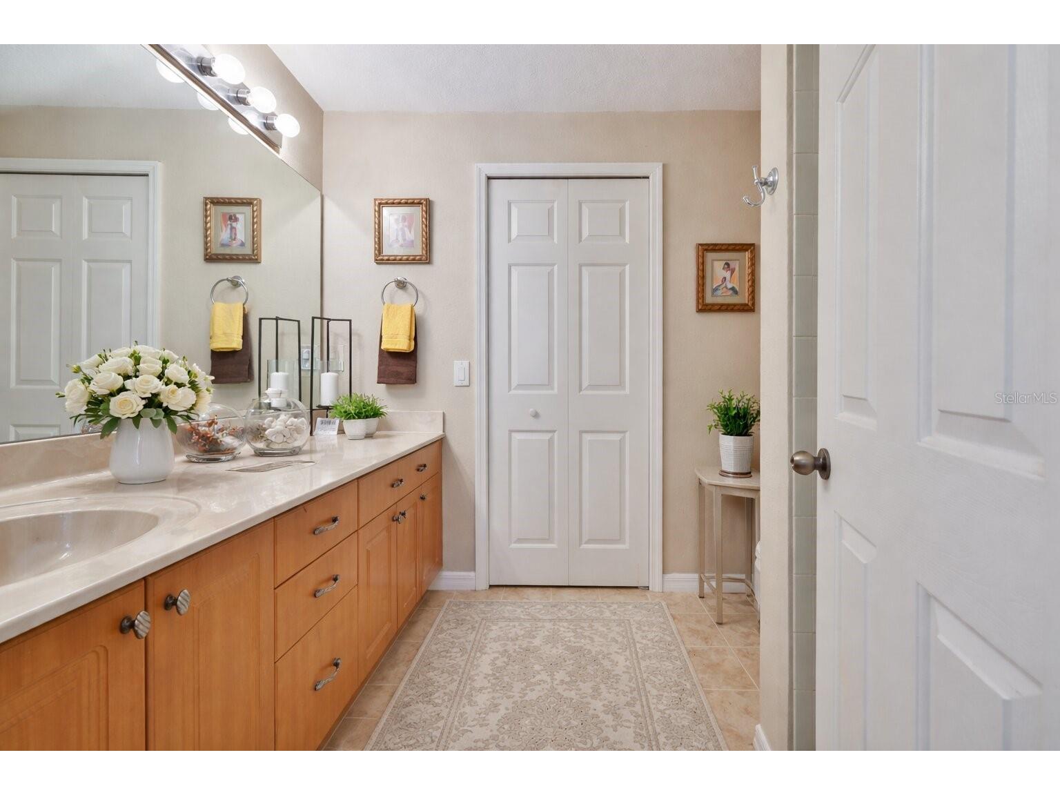 10967 Winter Crest Drive Riverview FL 33569 TB8470389 image12