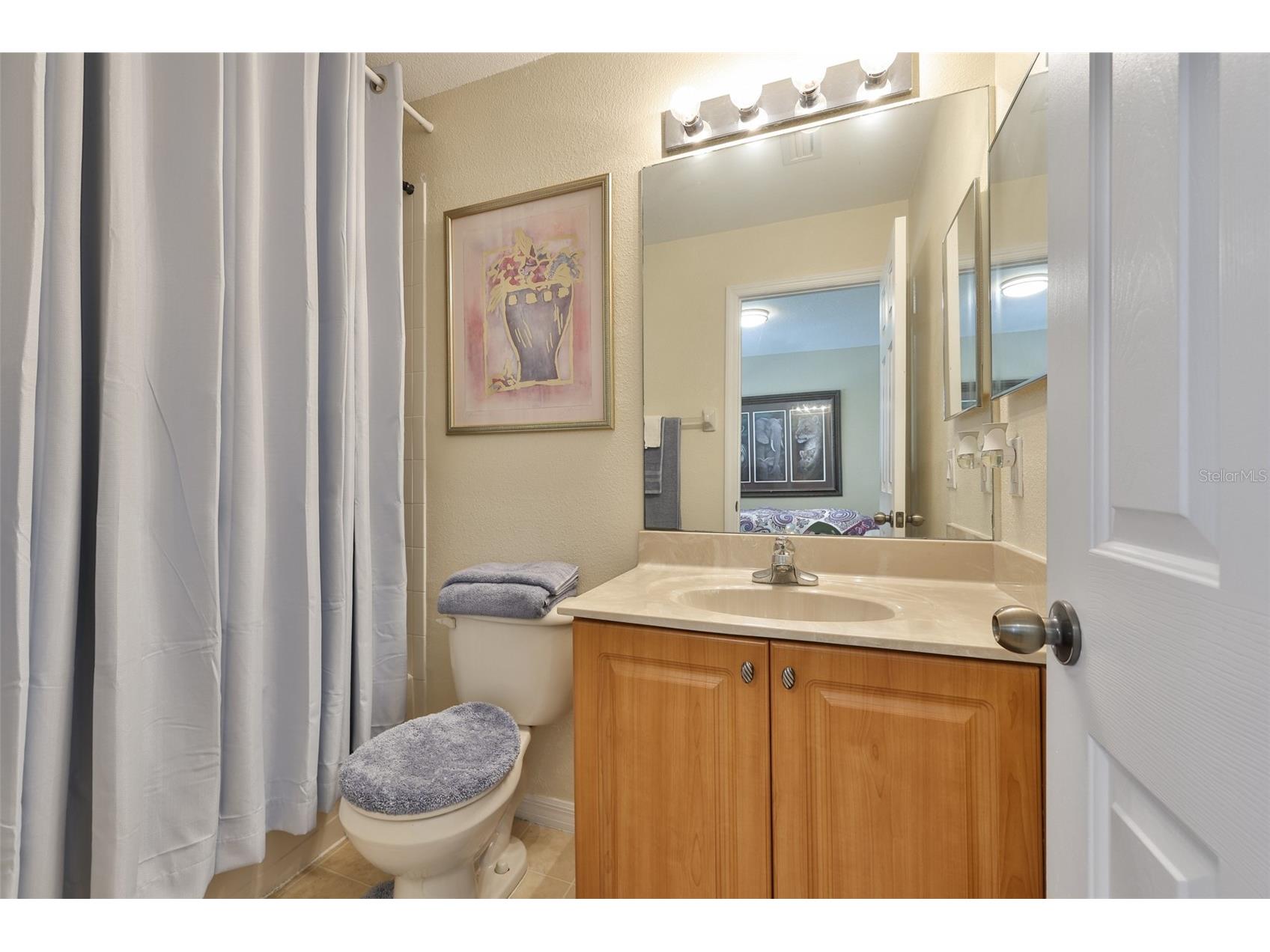 10967 Winter Crest Drive Riverview FL 33569 TB8470389 image15