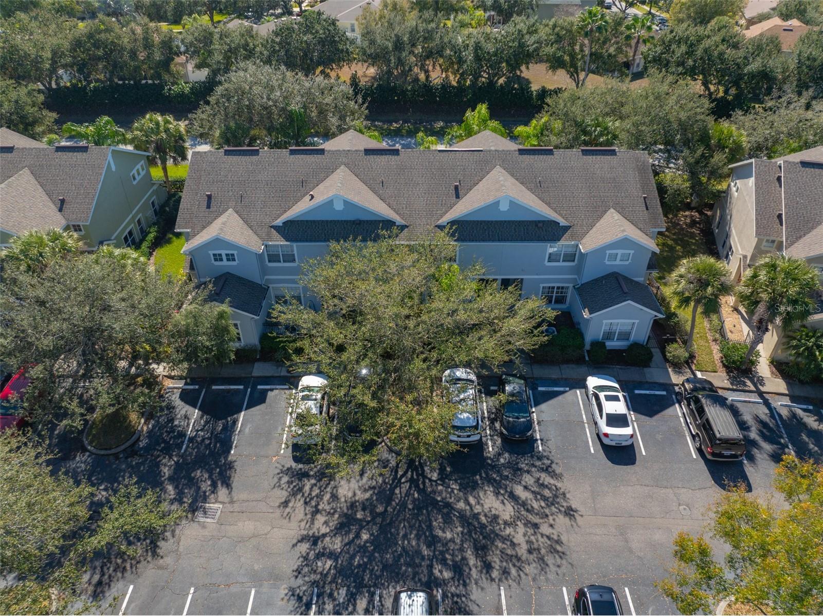 10967 Winter Crest Drive Riverview FL 33569 TB8470389 image2