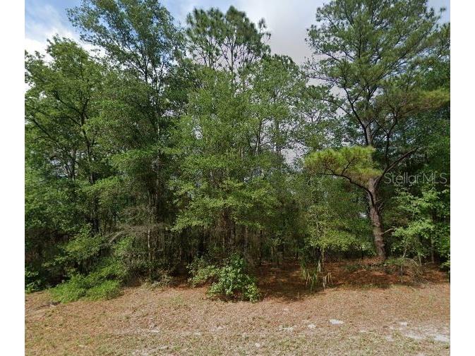 10969 N Adler Drive Citrus Springs FL 34434 A4620737 image1