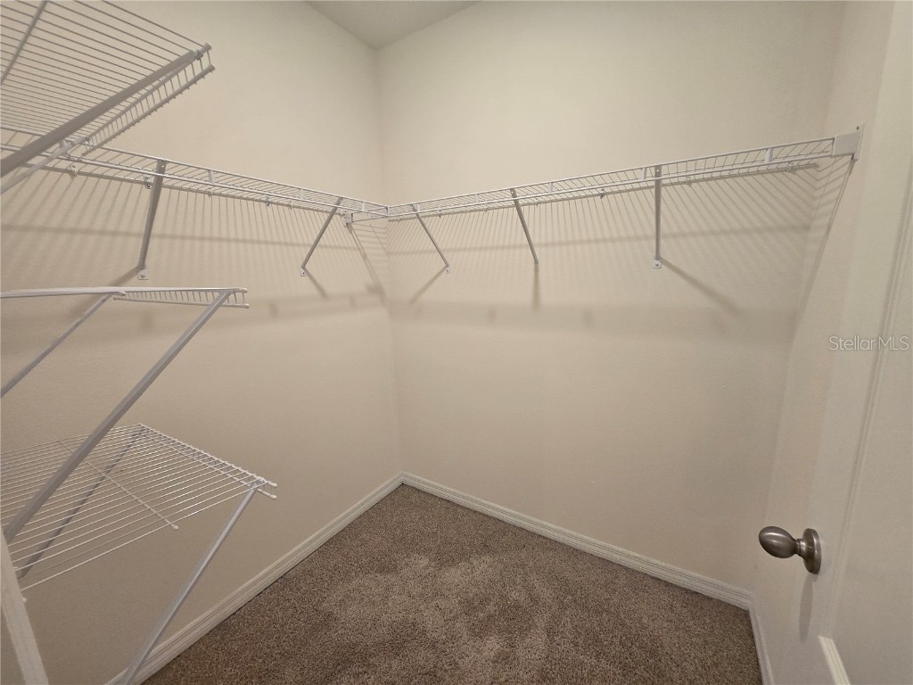 1097 Blue Jay Drive Davenport FL 33837 S5129830 image22