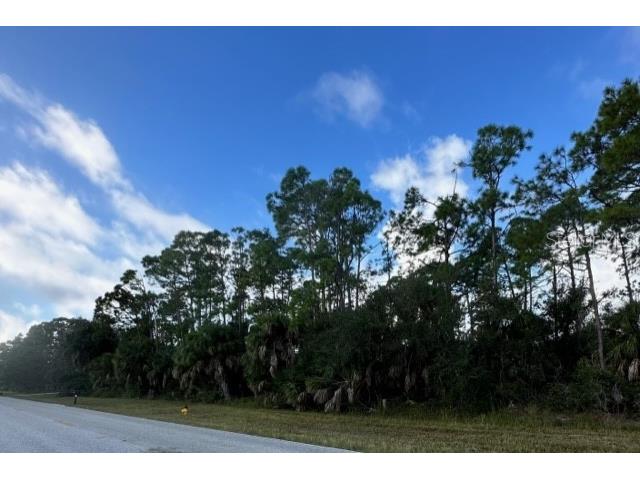 1097 Cornelius Boulevard Port Charlotte FL 33953 D6133334 image1