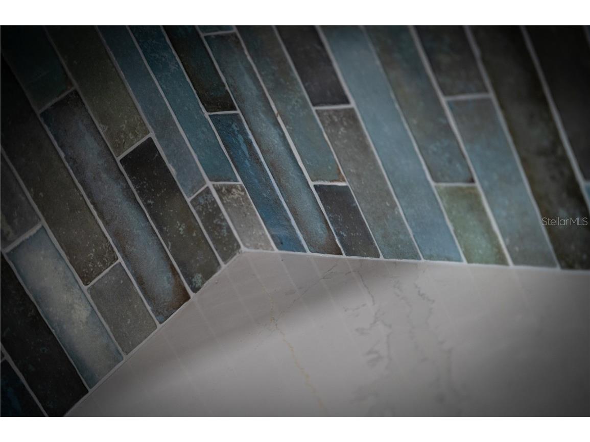 1097 Eden Isle Boulevard NE #3 Saint Petersburg FL 33704 TB8444490 image28