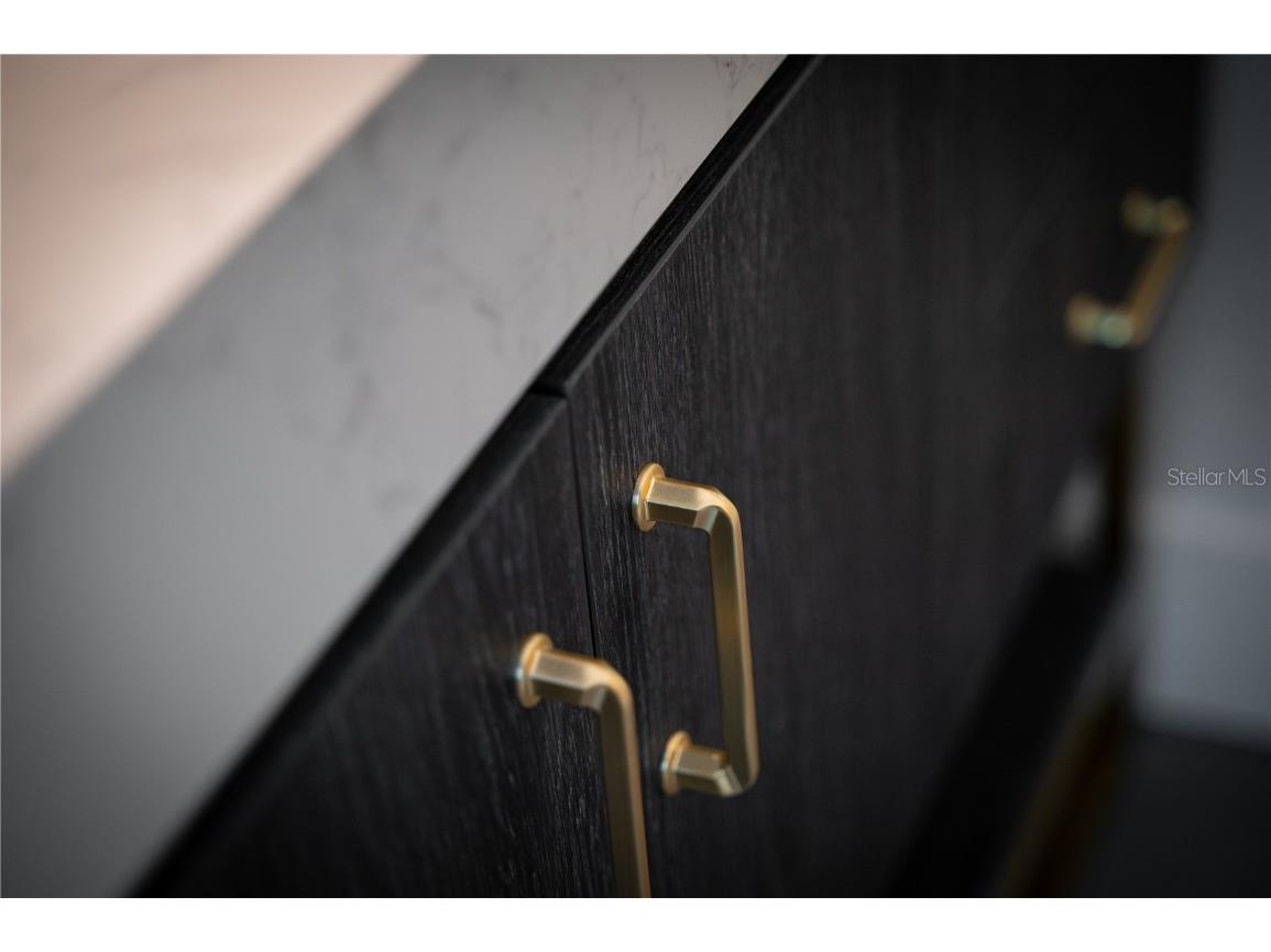 1097 Eden Isle Boulevard NE #3 Saint Petersburg FL 33704 TB8444490 image32