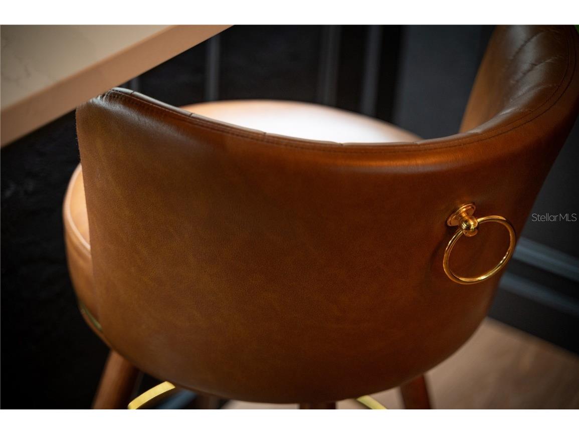 1097 Eden Isle Boulevard NE #3 Saint Petersburg FL 33704 TB8444490 image34