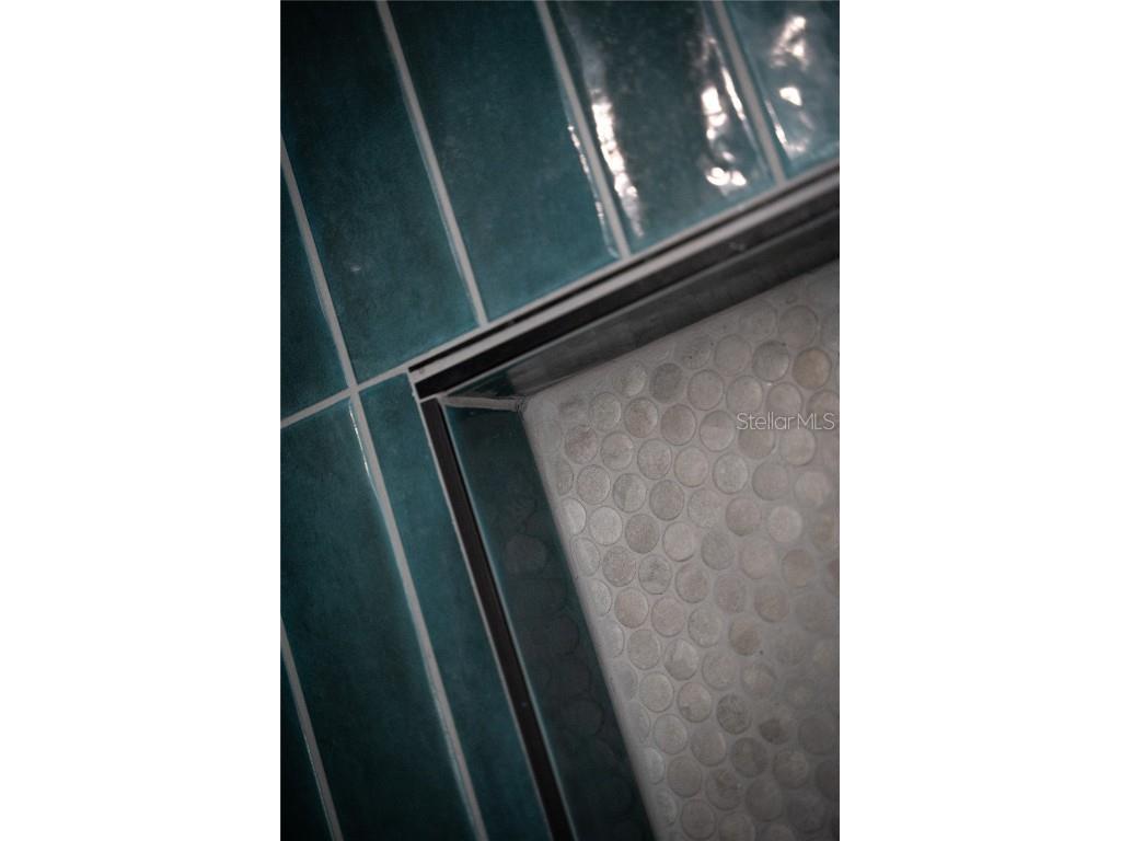 1097 Eden Isle Boulevard NE #3 Saint Petersburg FL 33704 TB8444490 image37